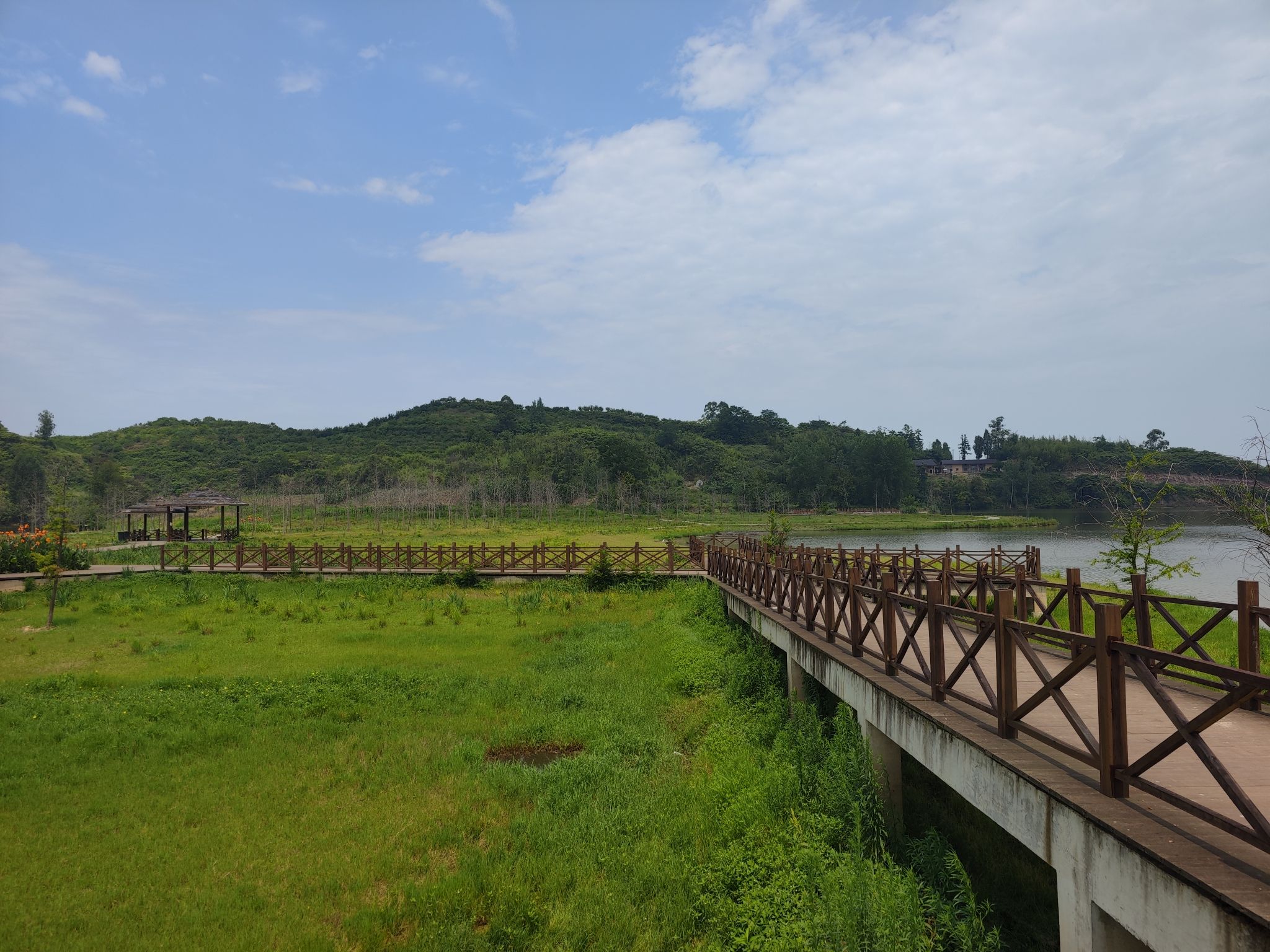 让水湖湿地公园