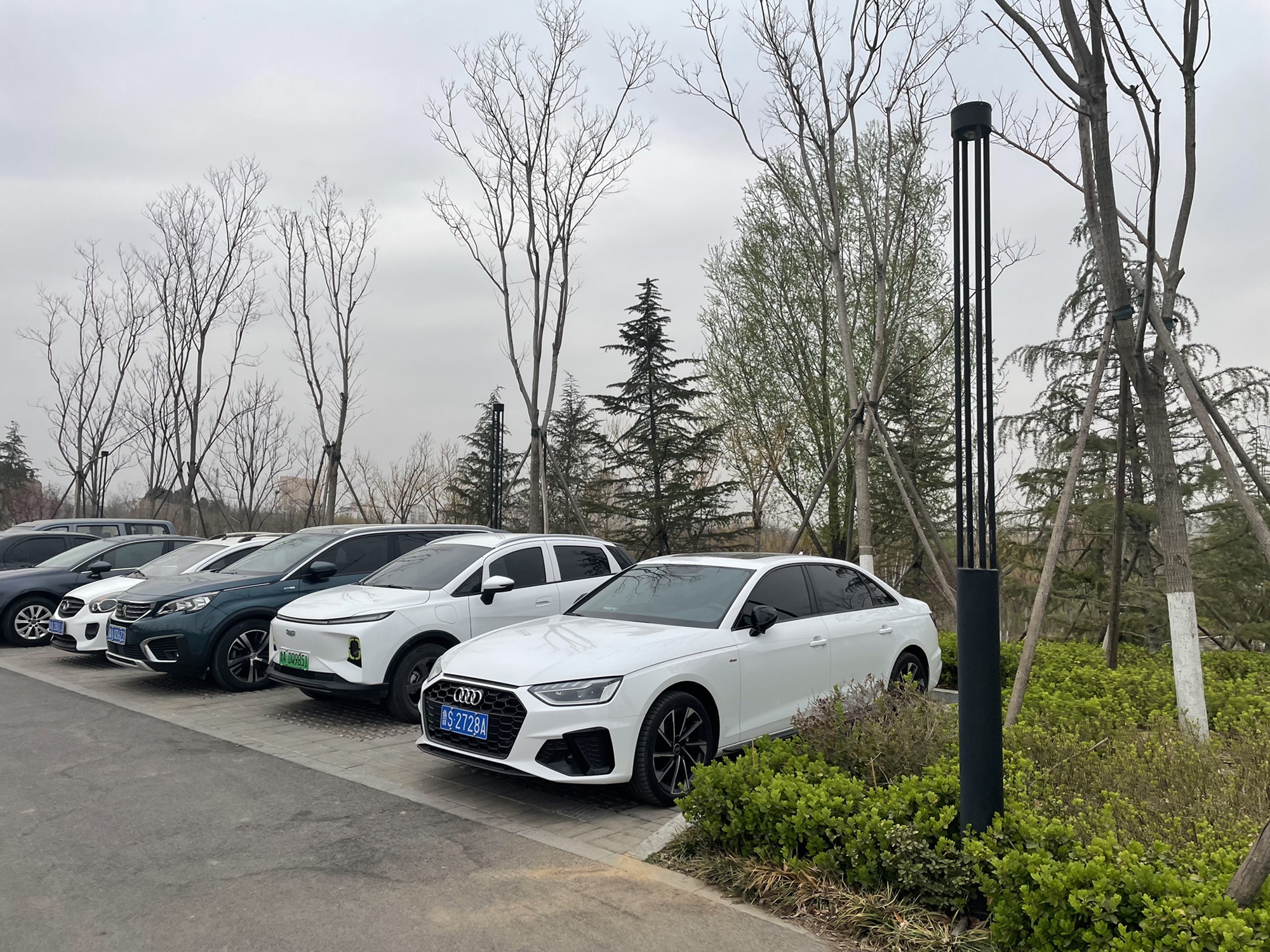 锦东公园旅行图片 1