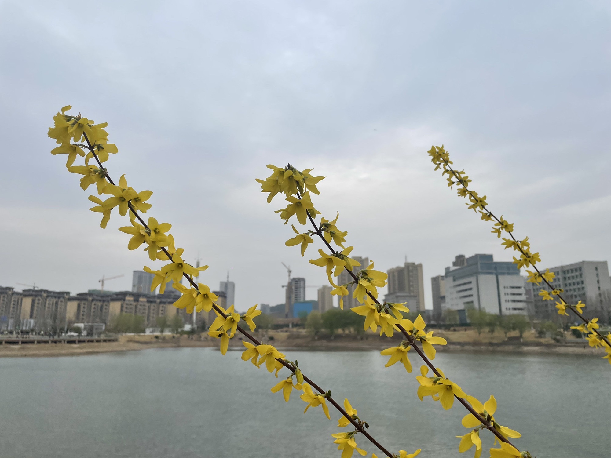 锦东公园旅行图片 3