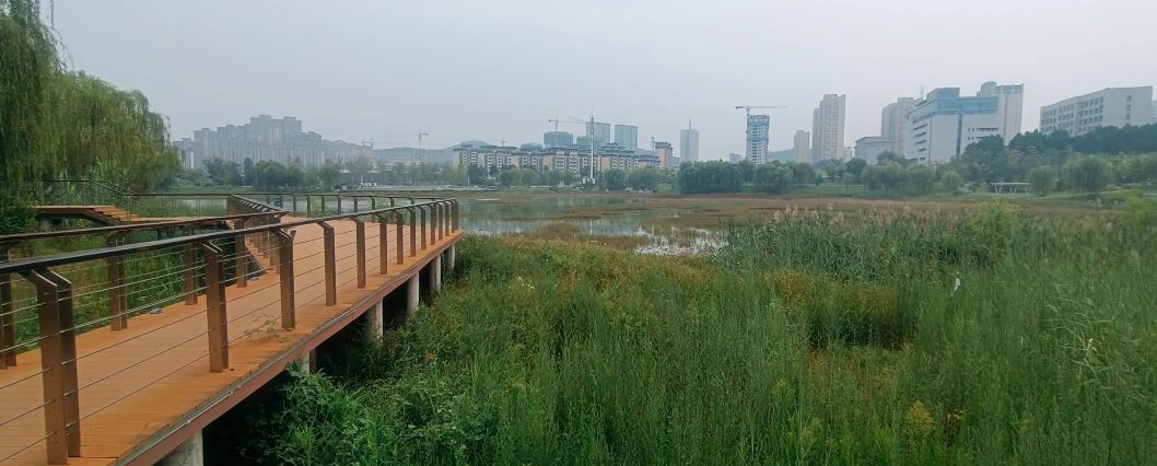 锦东公园旅行图片 1