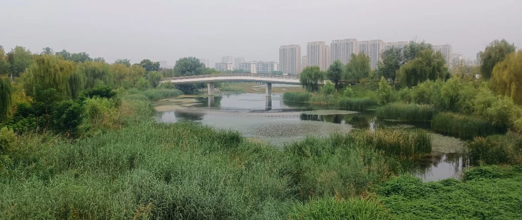 锦东公园旅行图片 3