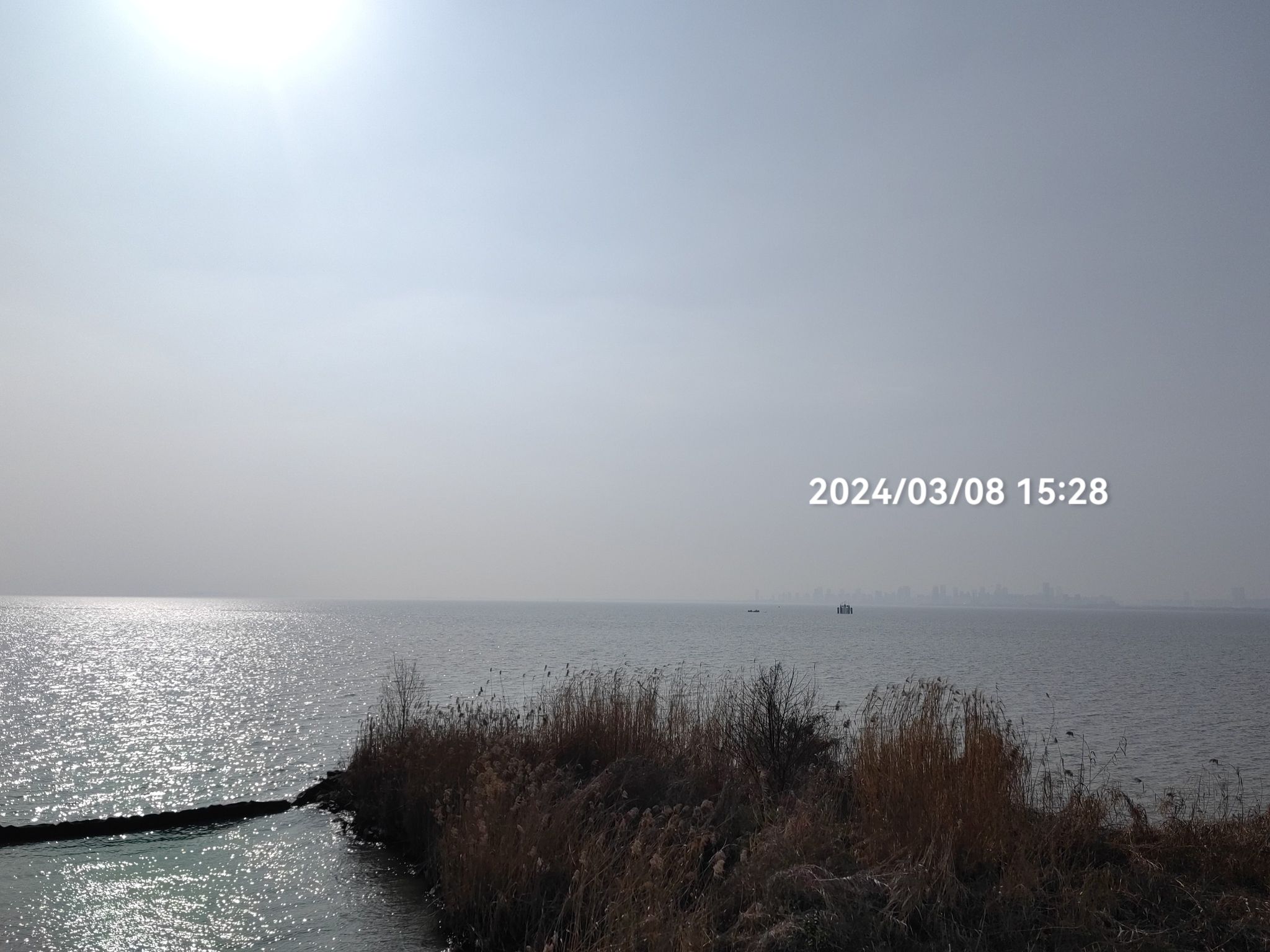 十八联圩湿地旅行图片 3