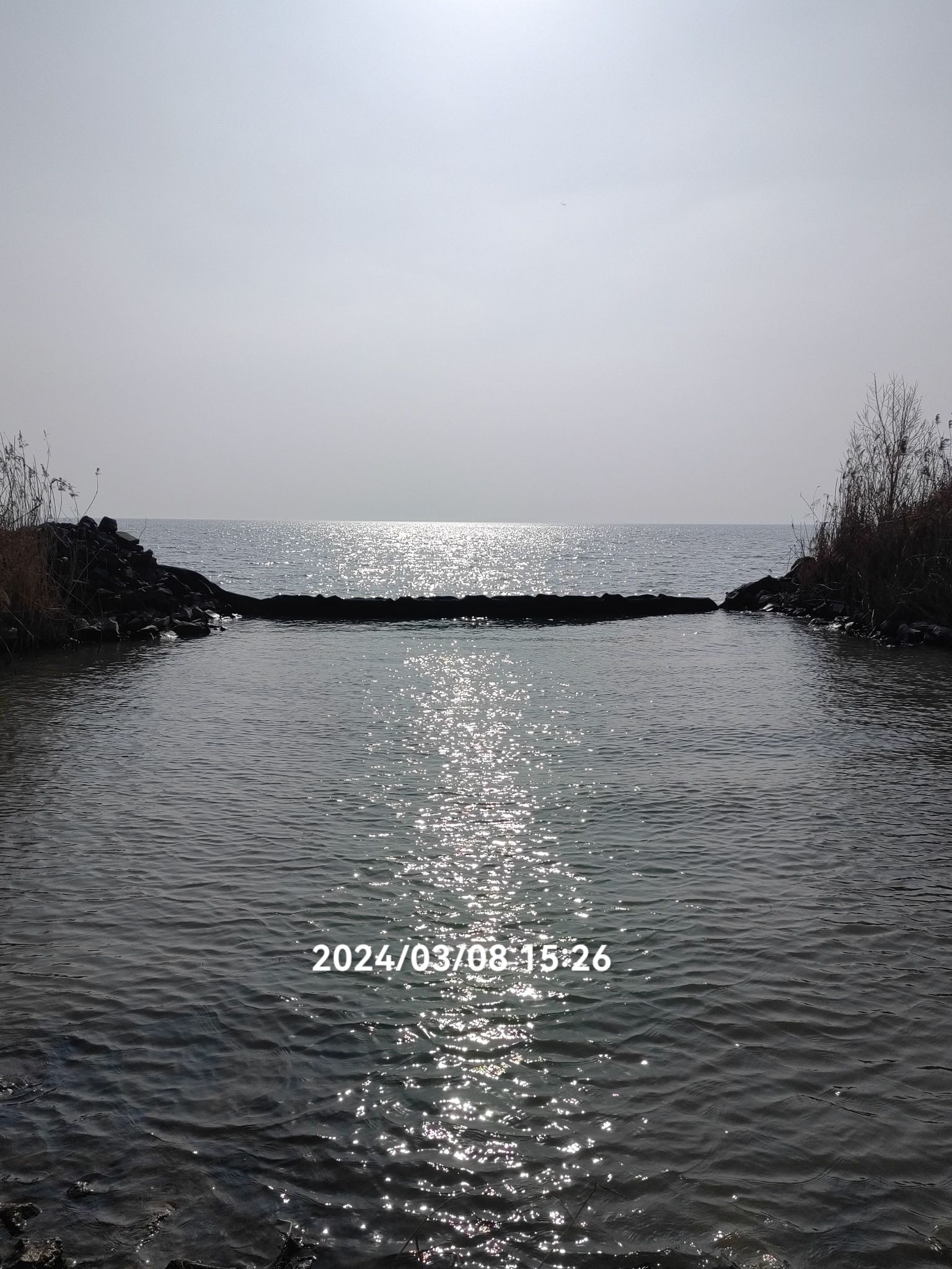 十八联圩湿地旅行图片 2