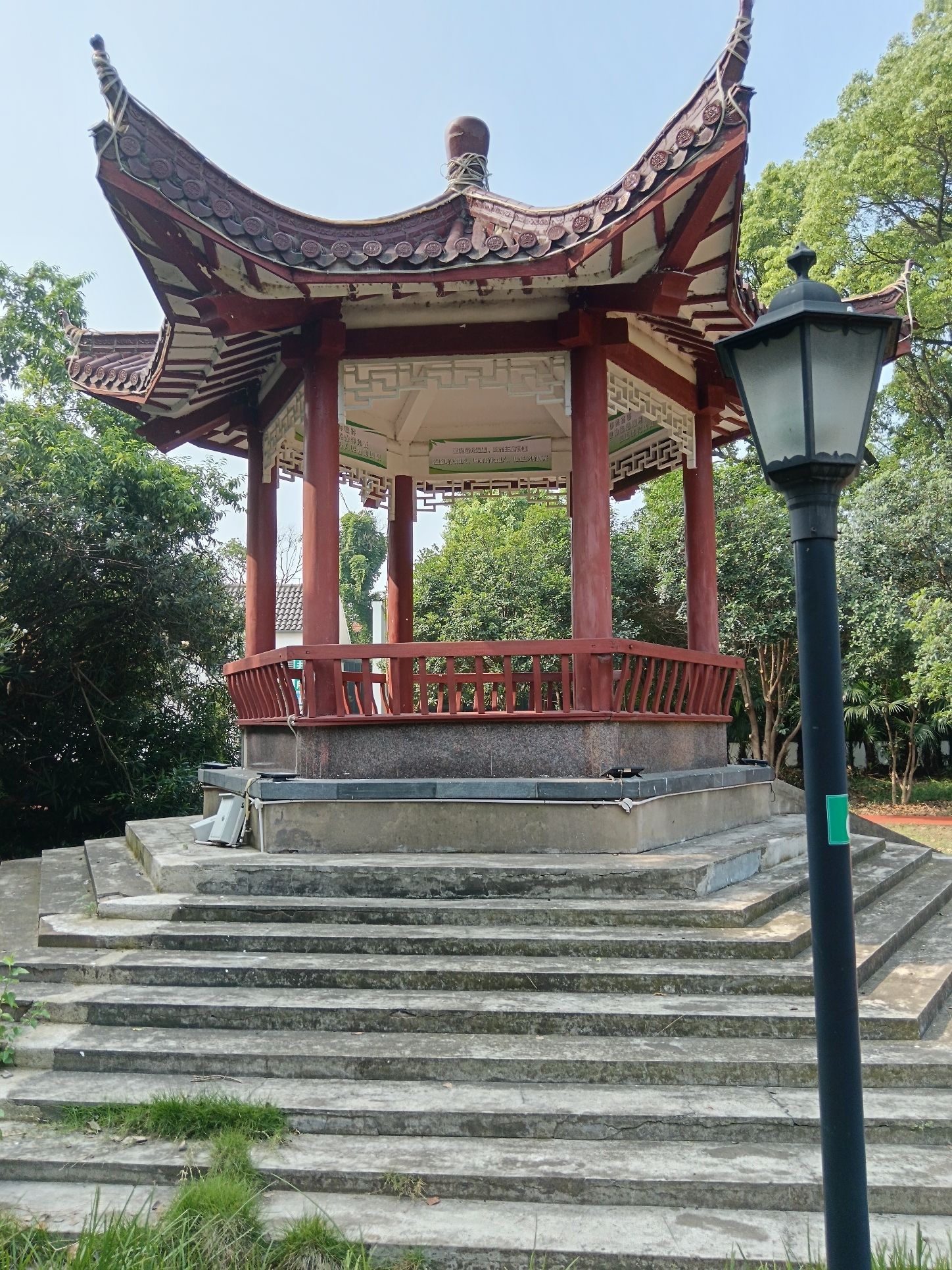 新园公园旅行图片 3
