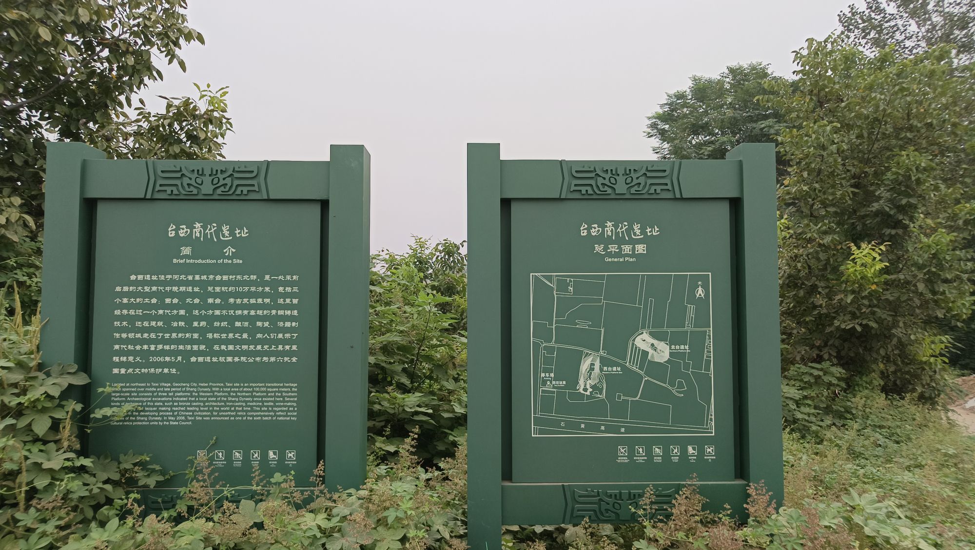 台西遗址旅行图片 1