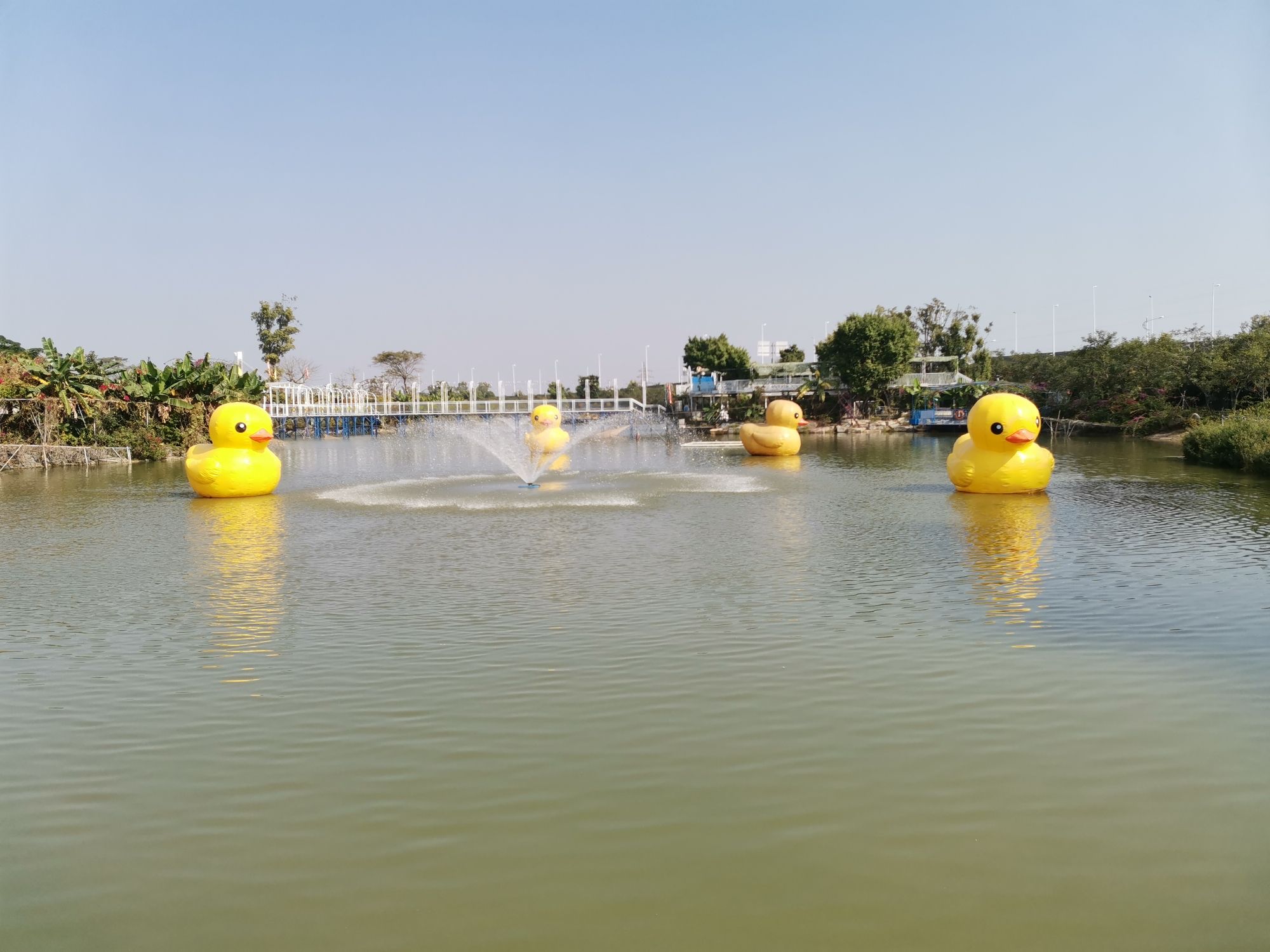 竹山公园旅行图片 3
