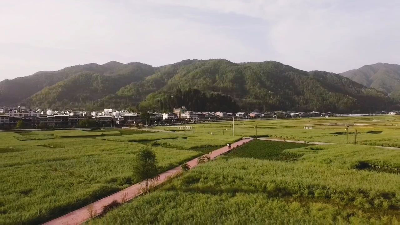 黎坝镇荷花园观景长廊