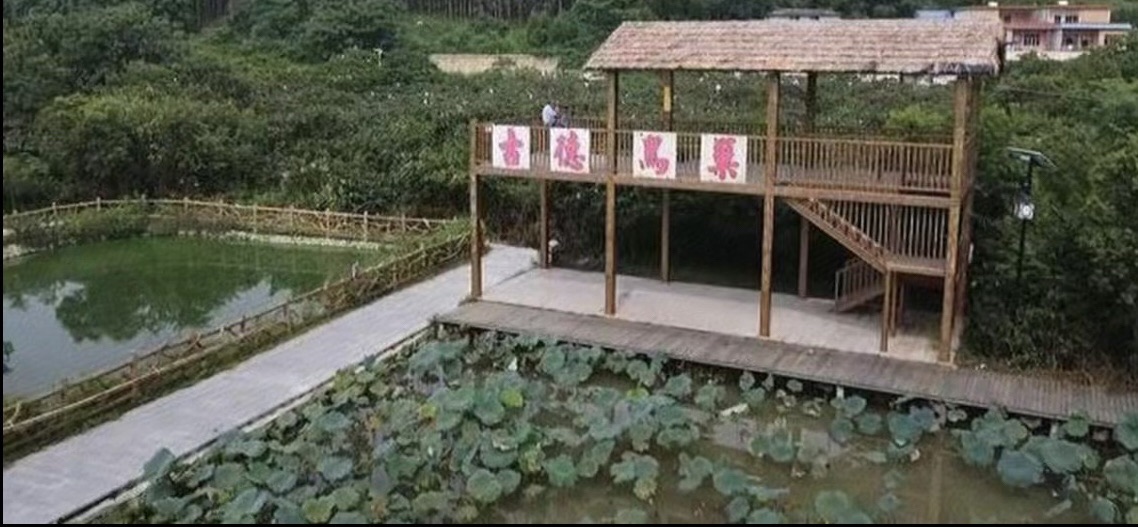 古德新村白鹭栖息自然保护区旅行图片 1