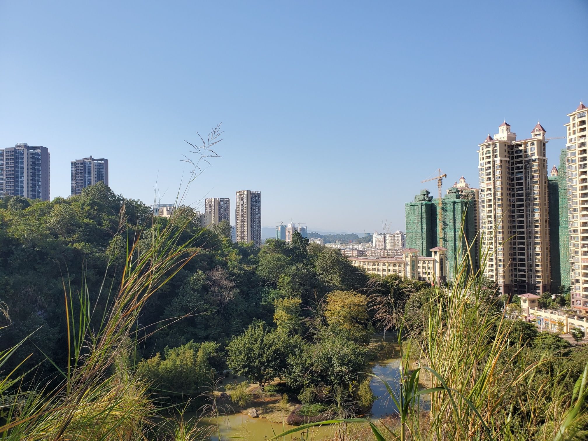 芙蓉亭旅行图片 3