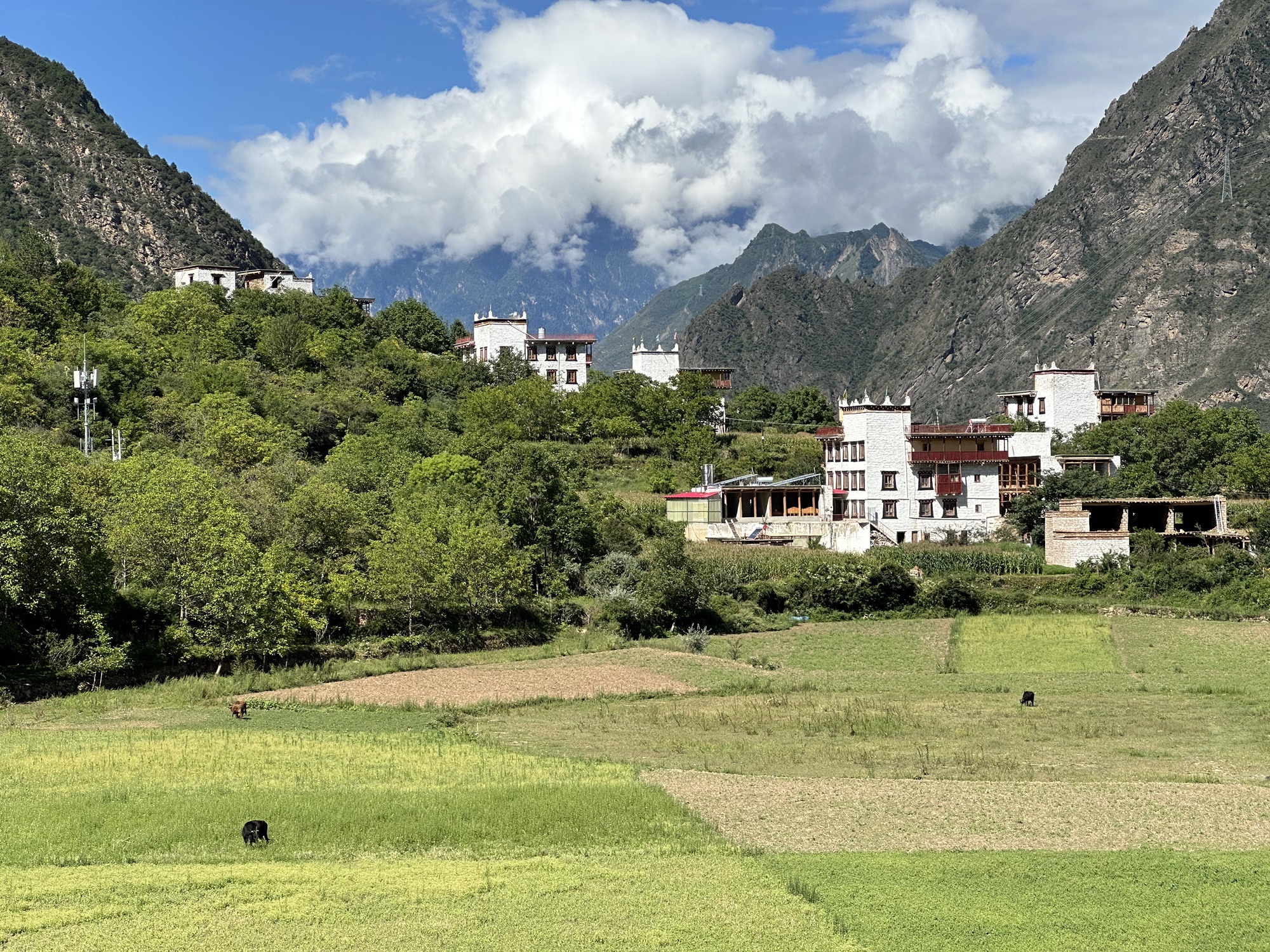 中路藏寨康波古碉楼观景台旅行图片 2