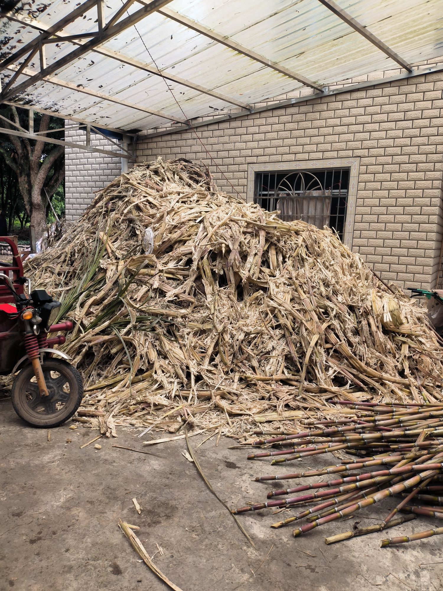江津中坝岛旅行图片 1