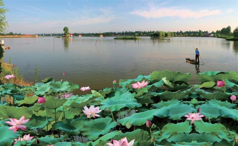 曹县·黄河故道湿地风景区旅行图片 3