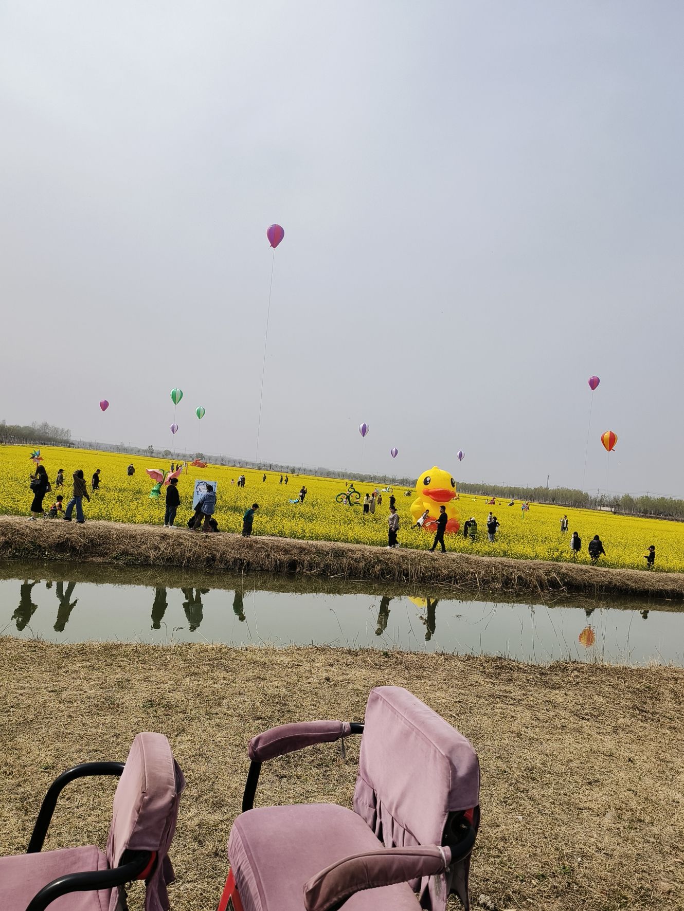 曹县·黄河故道湿地风景区旅行图片 1