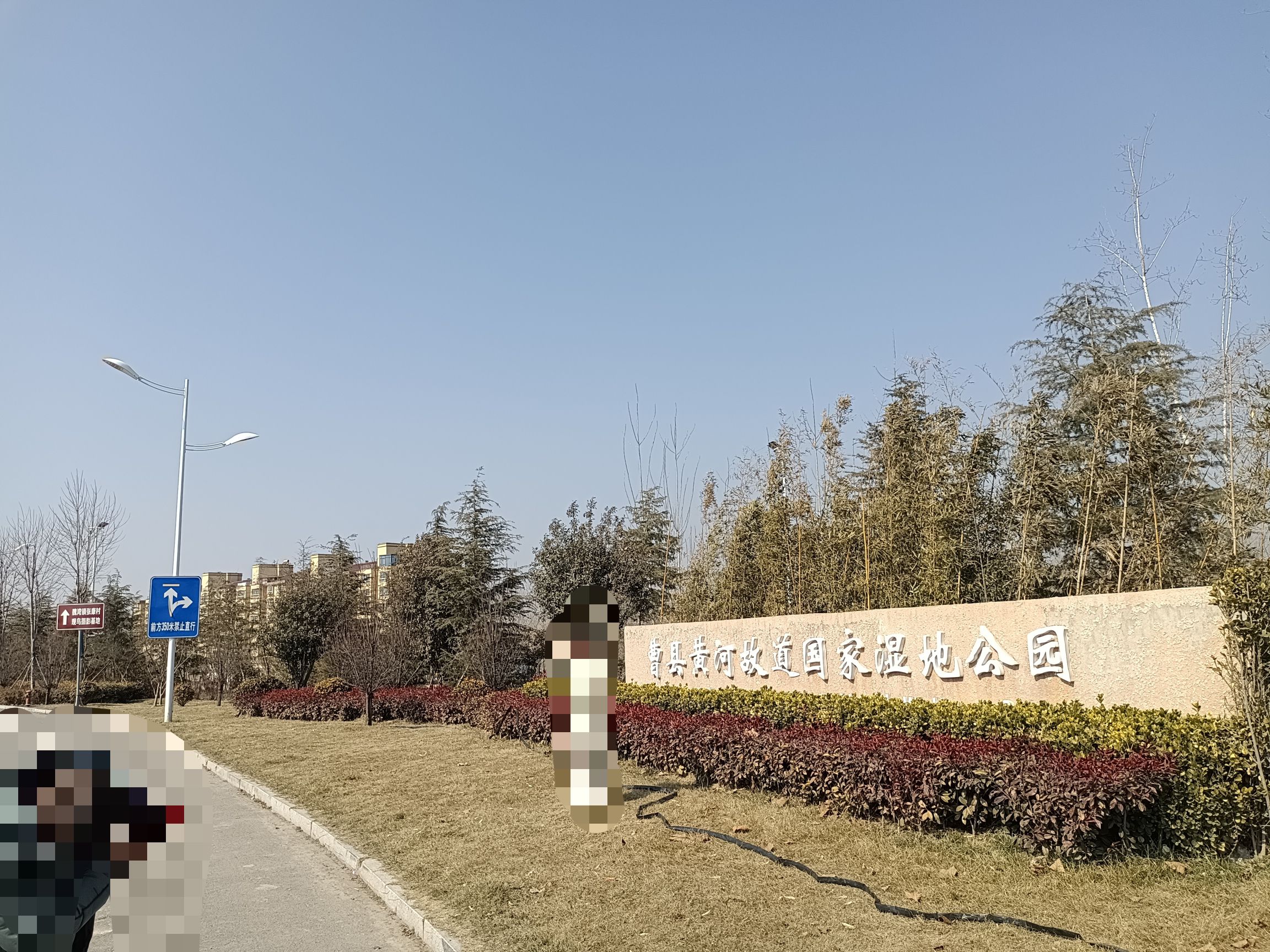 曹县·黄河故道湿地风景区旅行图片 1