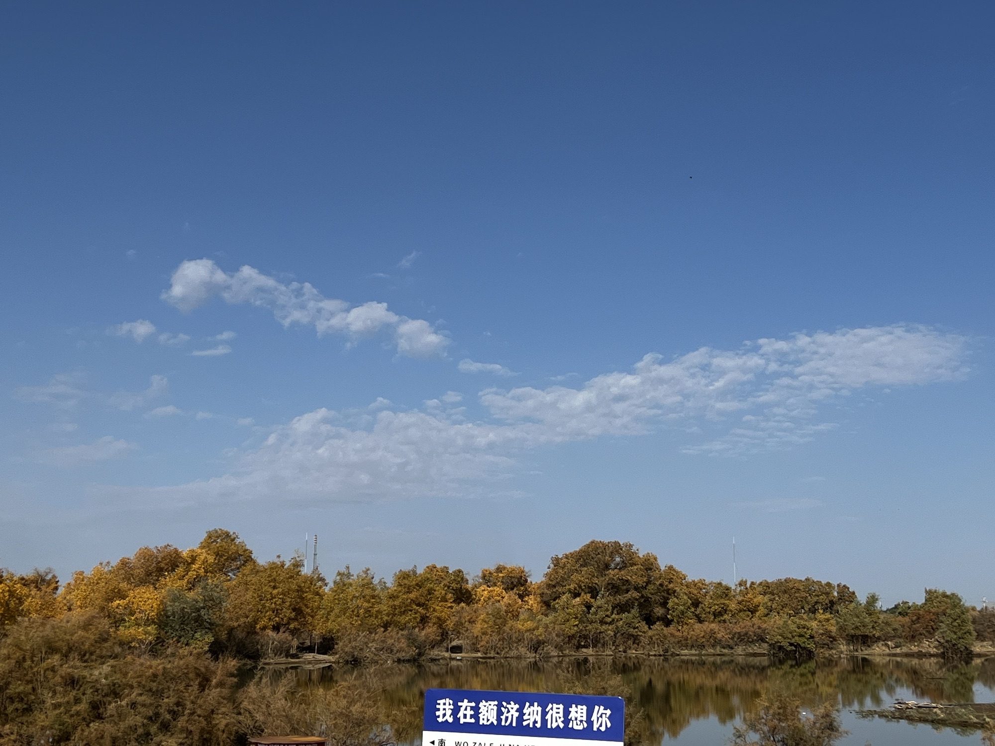 额济纳胡杨林旅游区(暂停开放)旅行图片 3