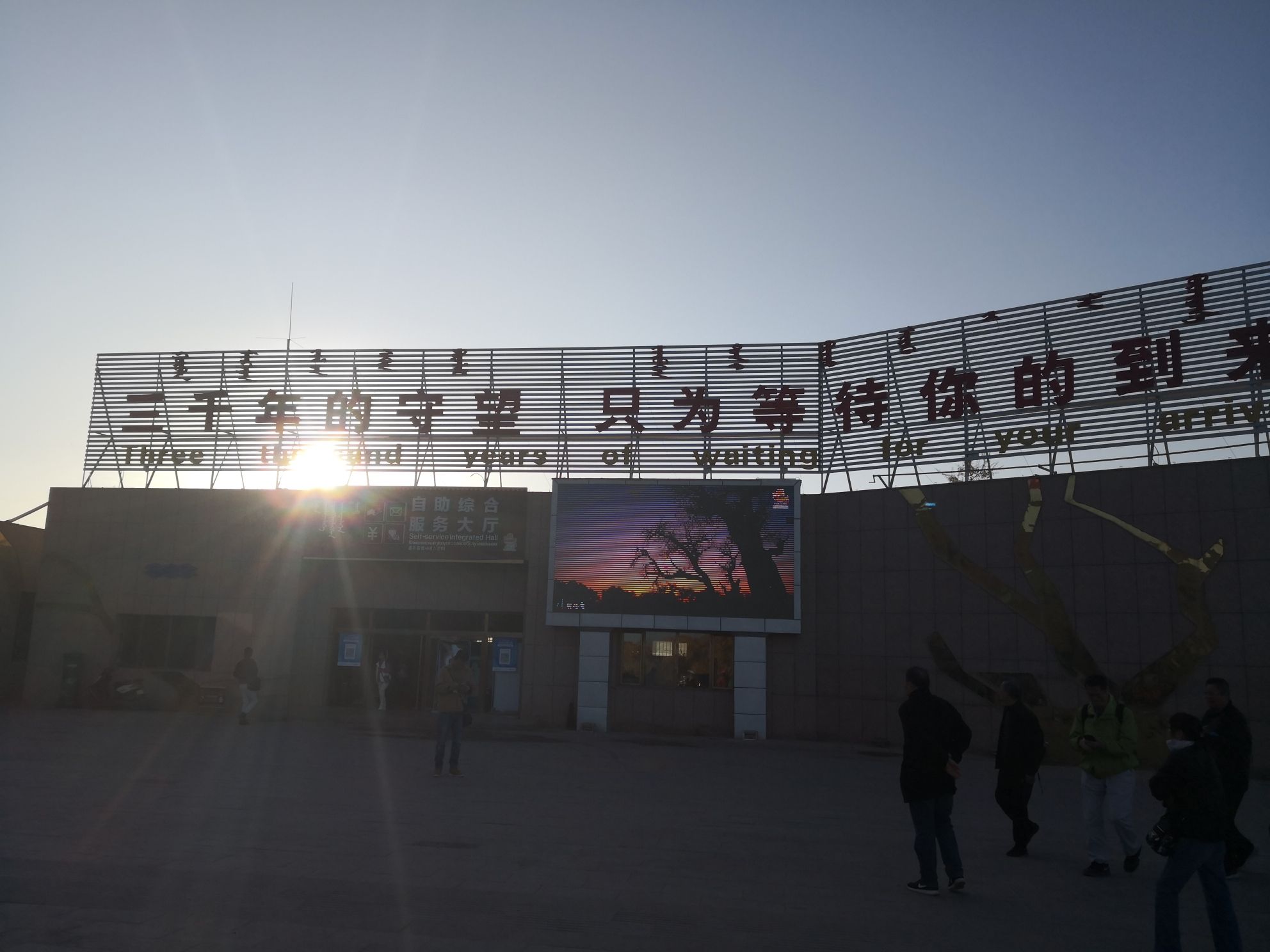 额济纳胡杨林旅游区(暂停开放)旅行图片 1