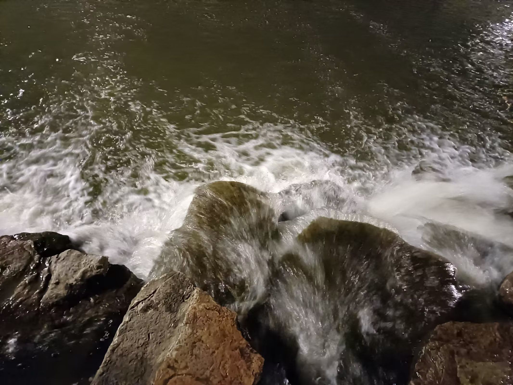 大沙河公园旅行图片 3