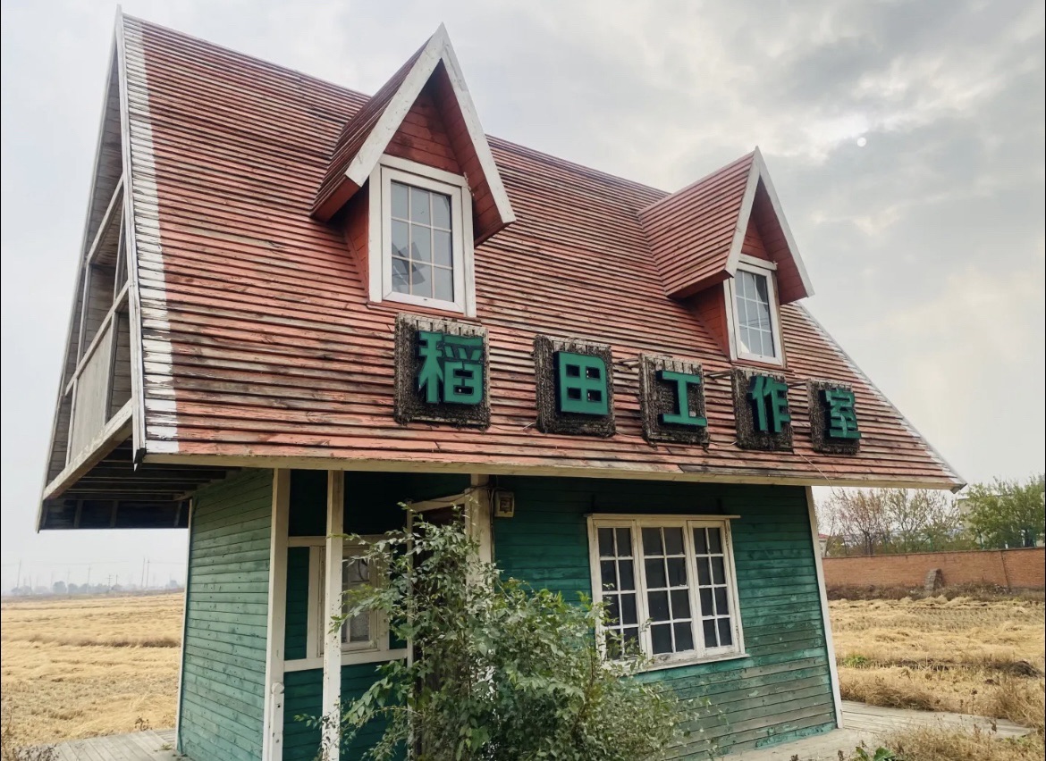 辽中蒲河稻乡稻田画景区