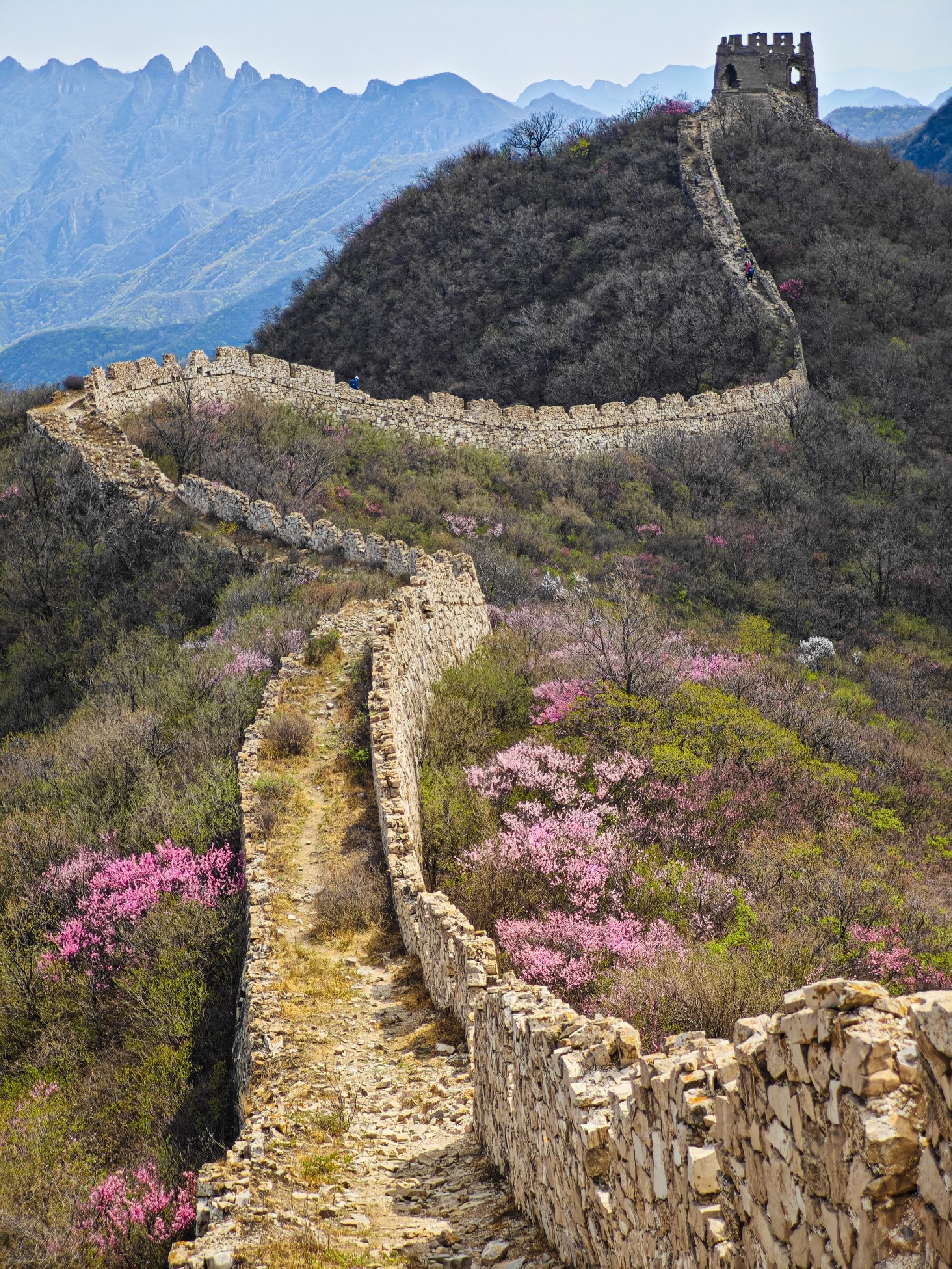 样边长城旅行图片 1