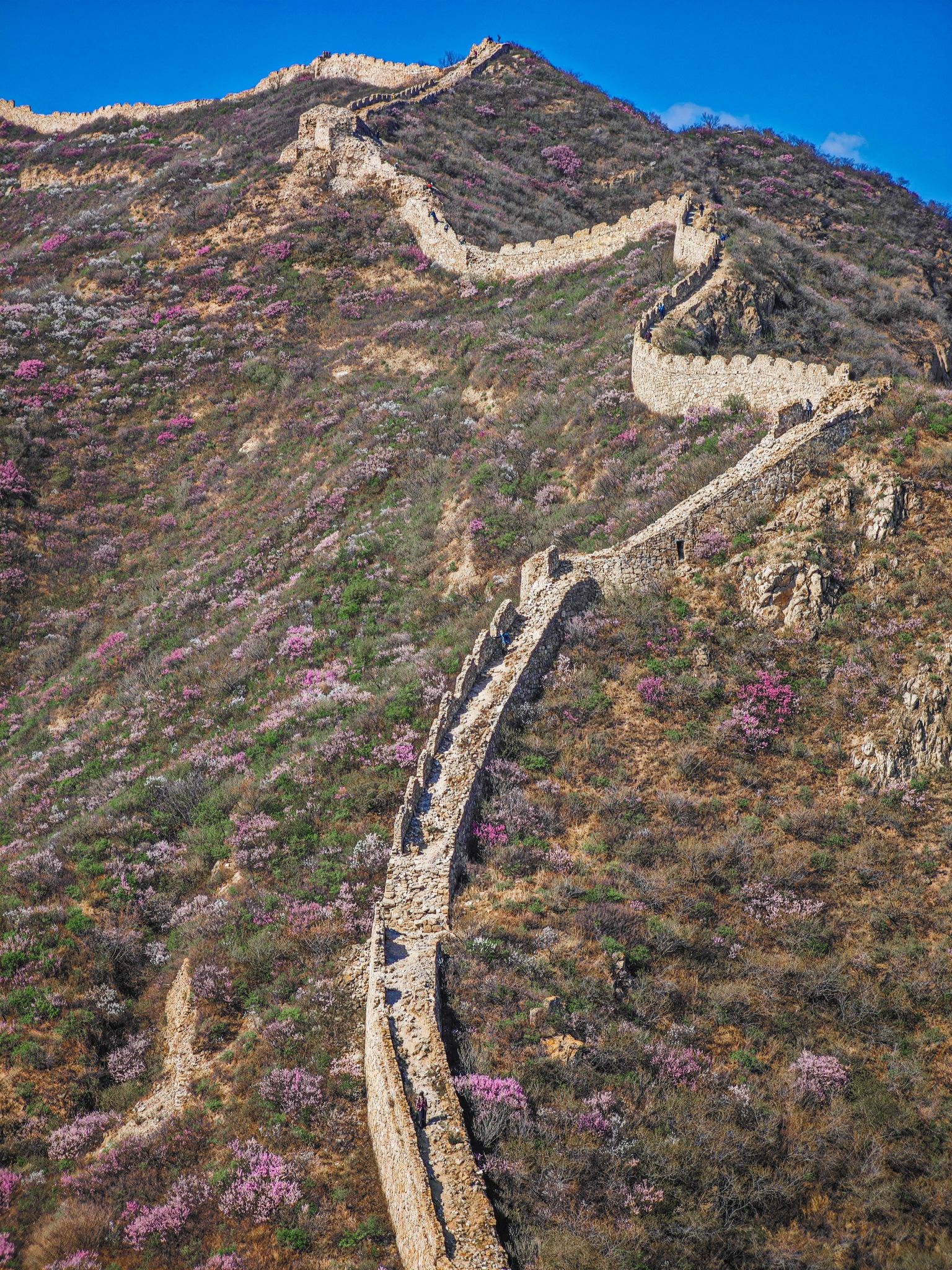 样边长城旅行图片 3