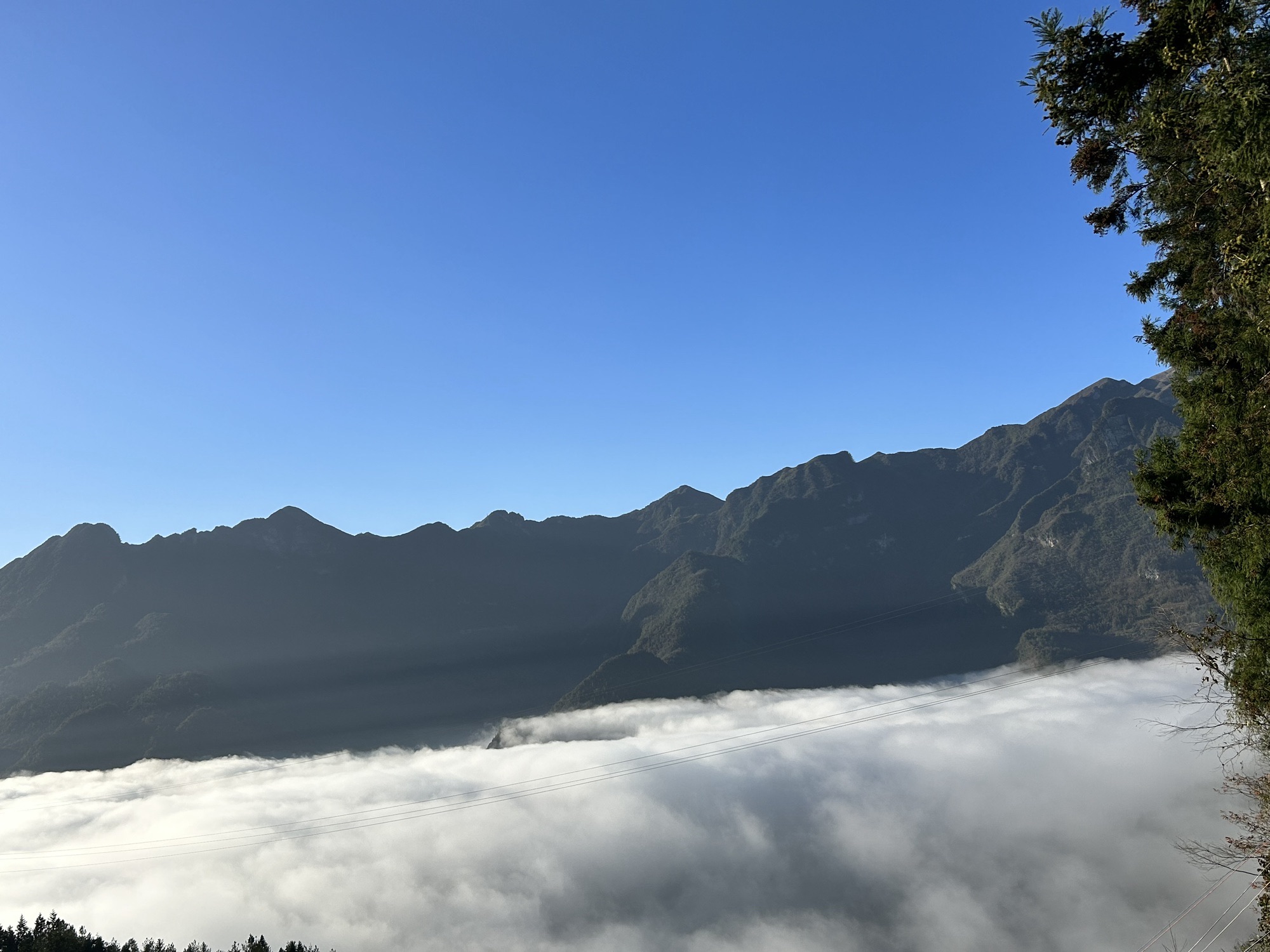 九坪村摇钱树观景台旅行图片 1