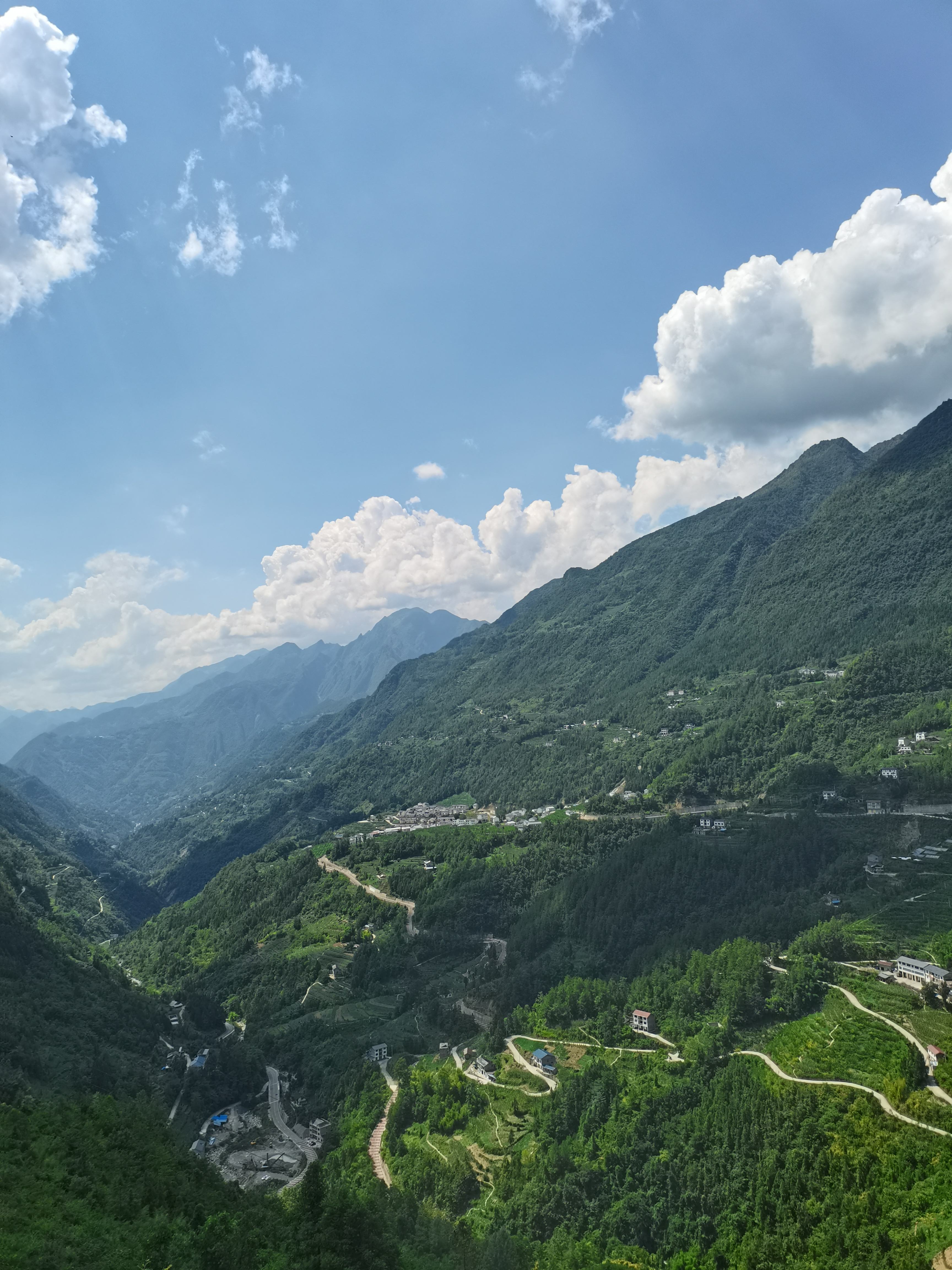 九坪村摇钱树观景台