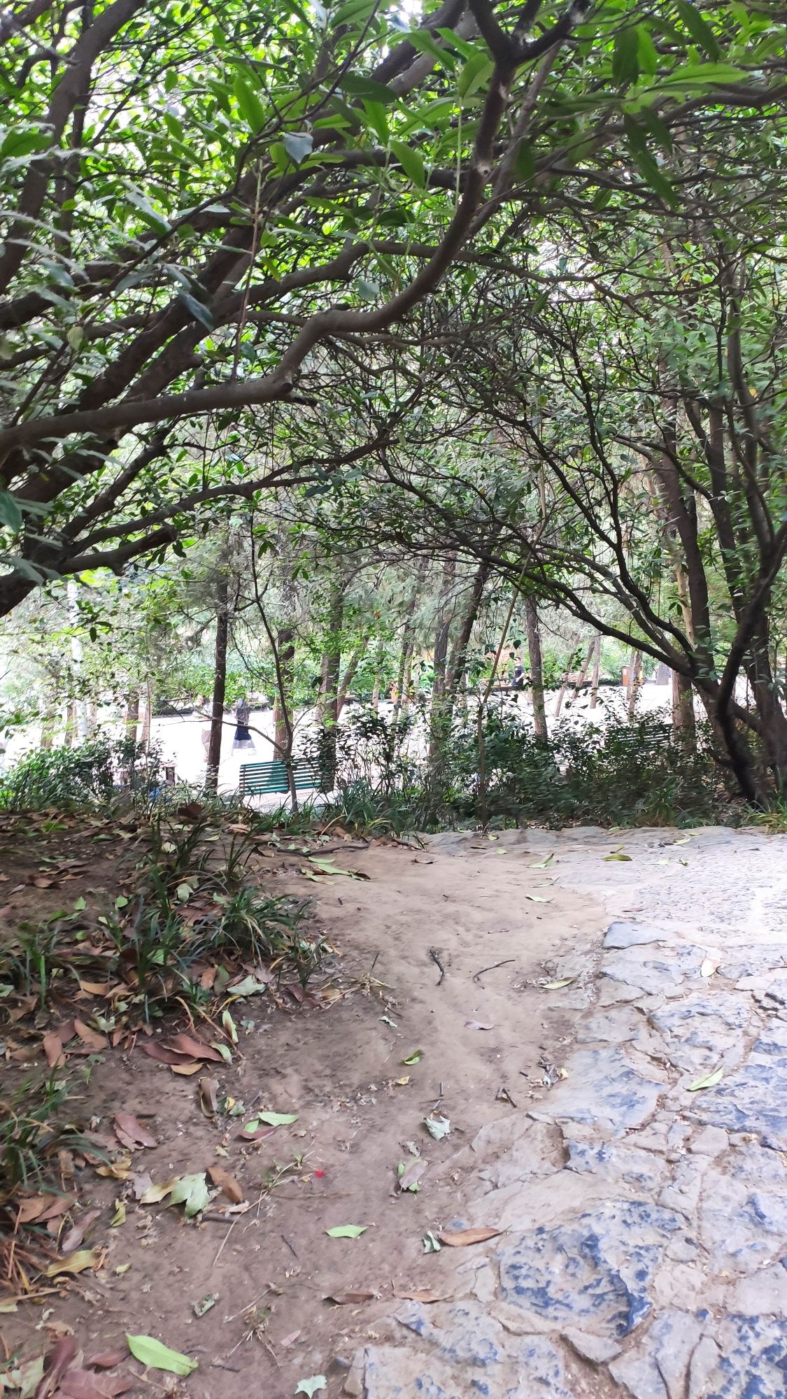 牡丹亭旅行图片 3