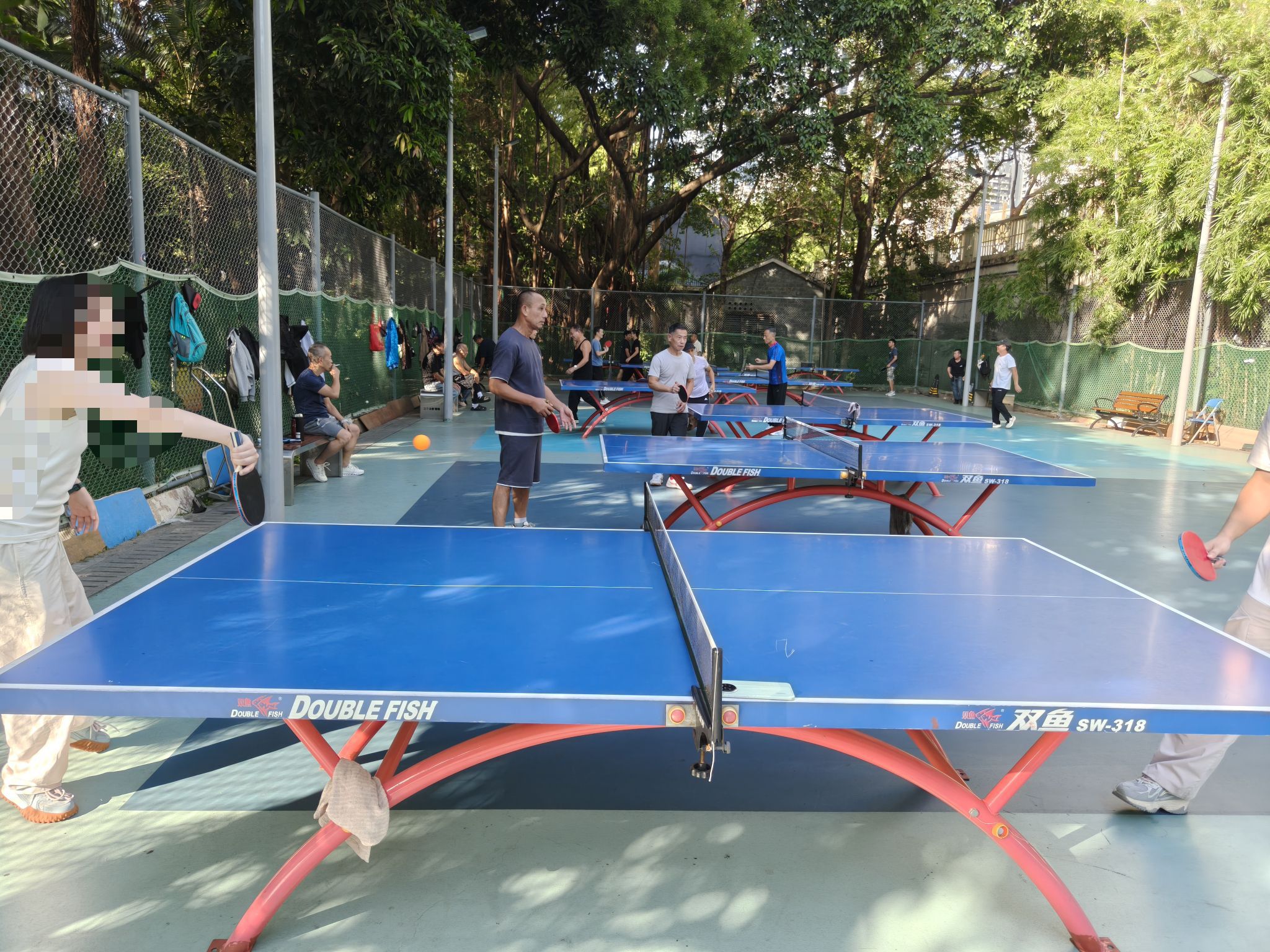场地封面-洪湖公园-乒乓球场