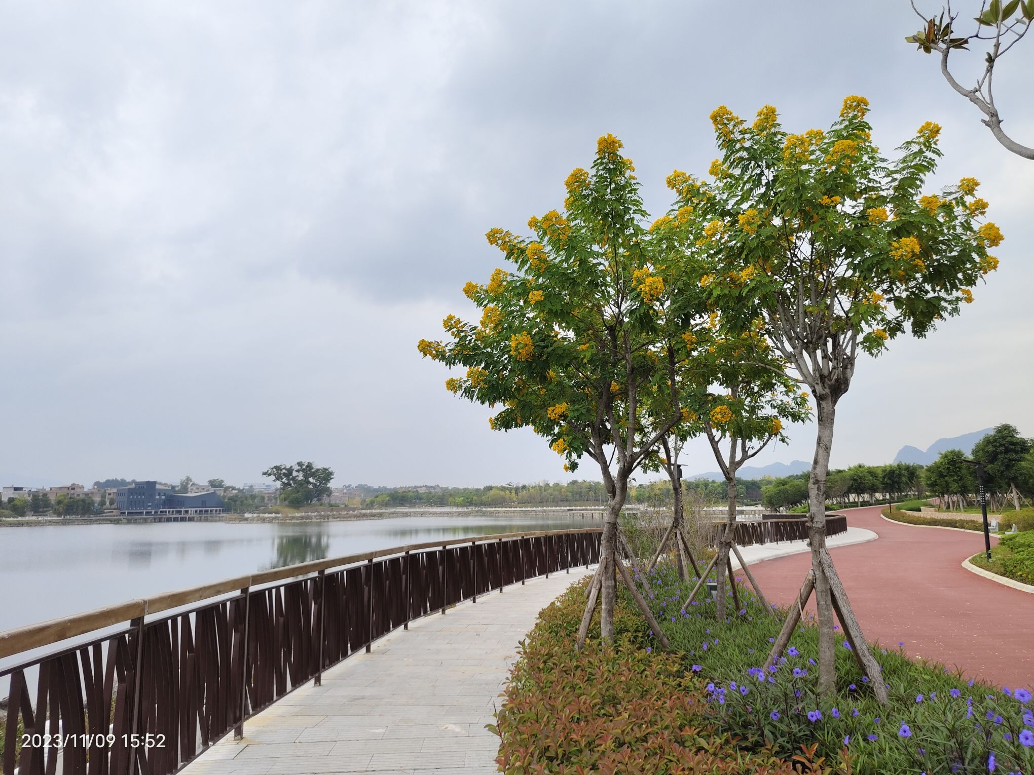 金泰湖公园旅行图片 3