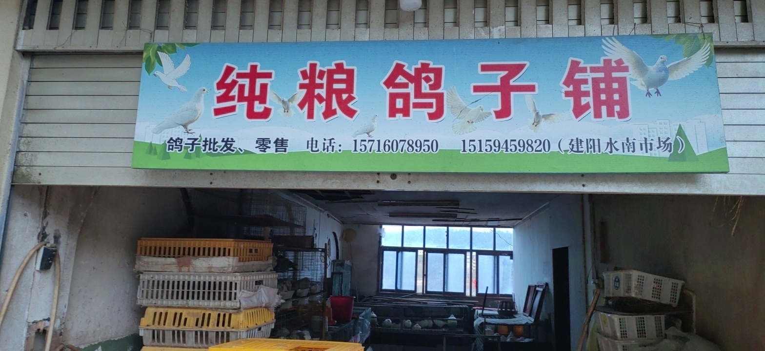 纯粮鸽子铺