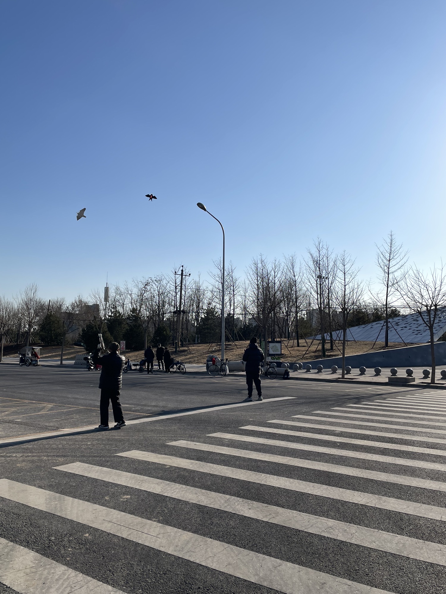丽泽金融商务区城市运动休闲公园旅行图片 3
