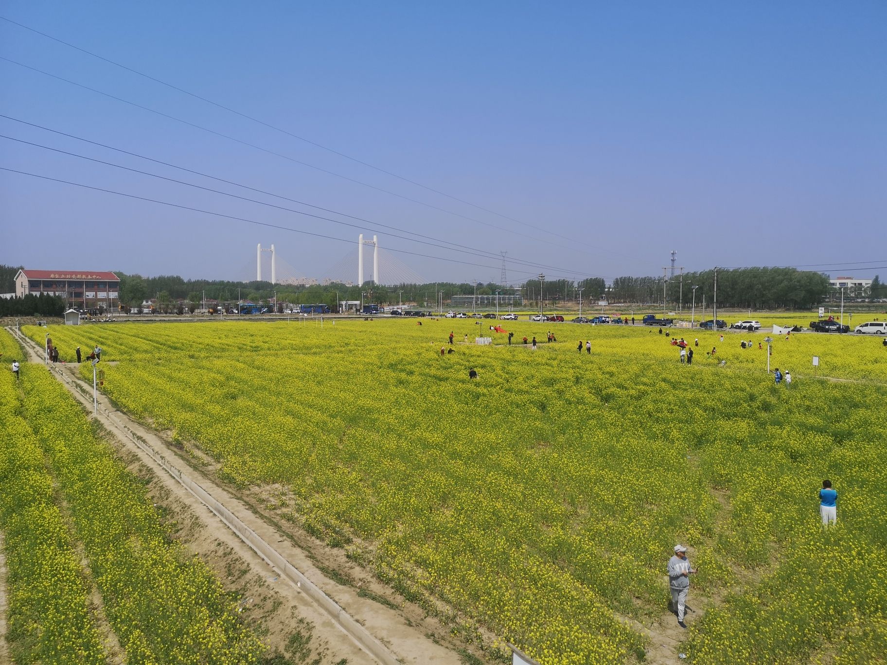 席家庄公园旅行图片 1