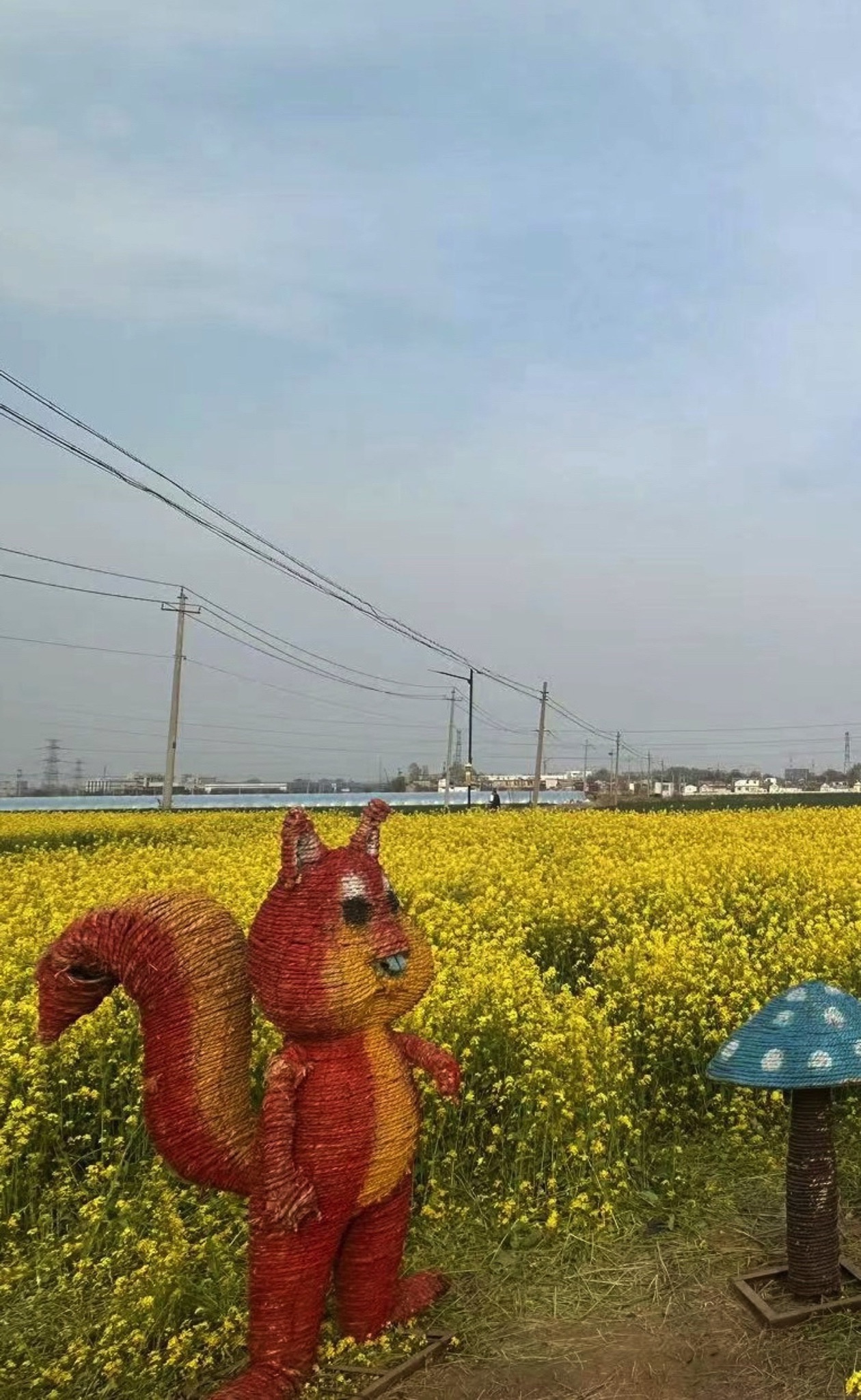 席家庄公园旅行图片 2