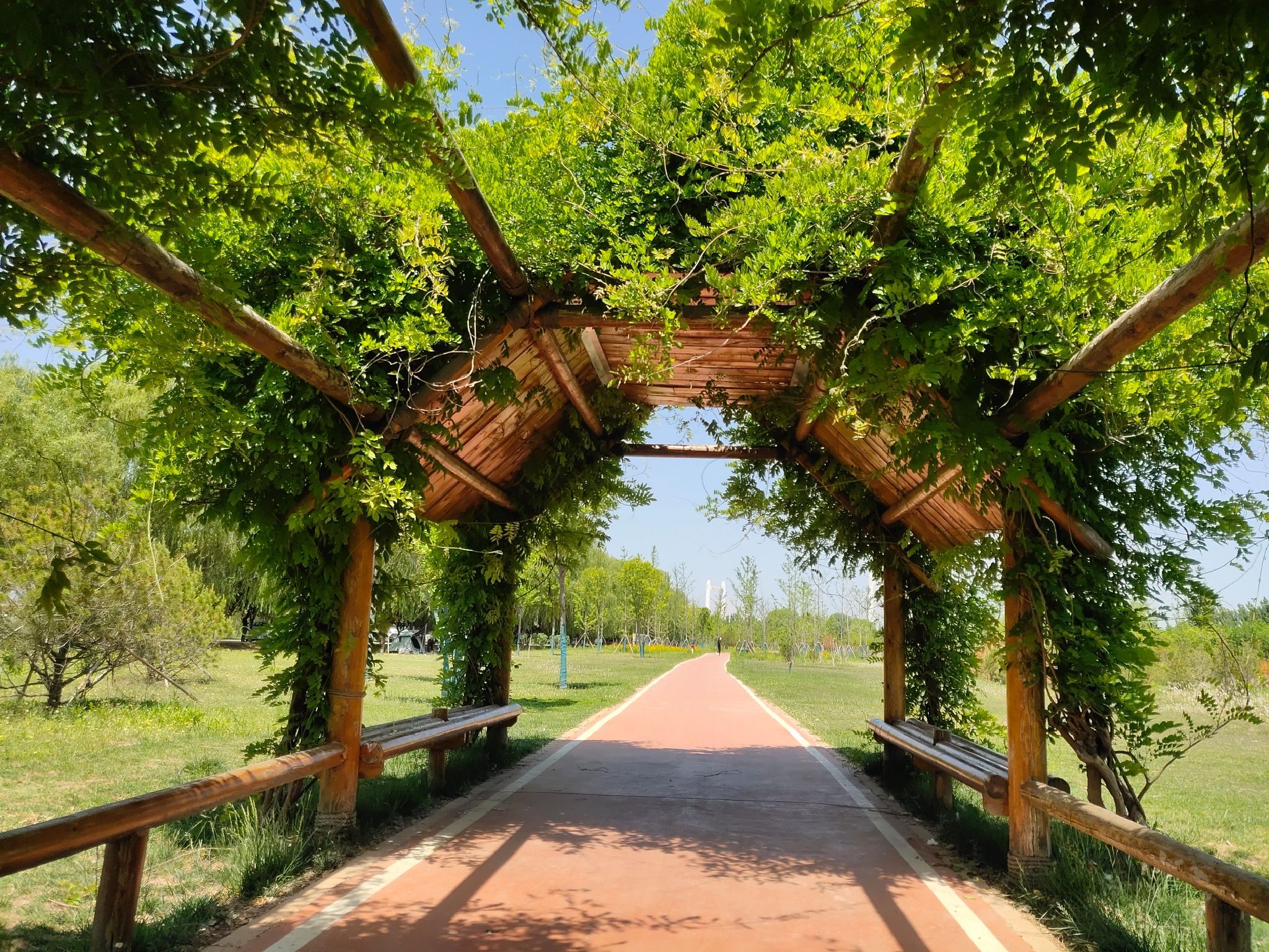 席家庄公园旅行图片 2