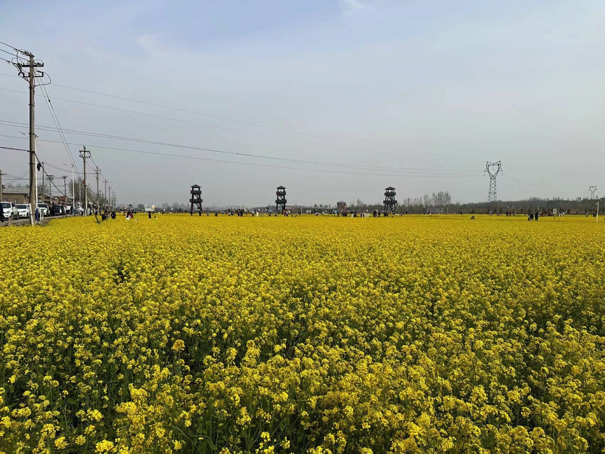 席家庄公园旅行图片 1