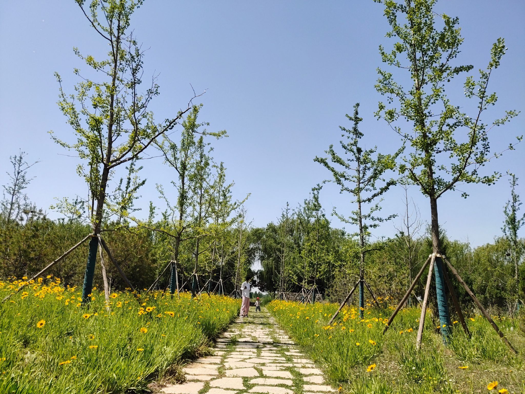 席家庄公园旅行图片 1