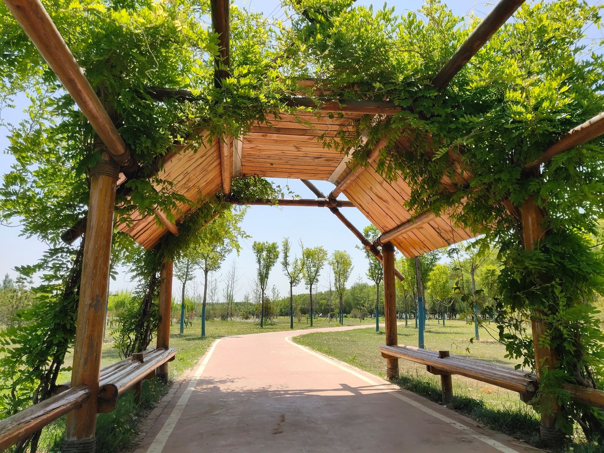 席家庄公园旅行图片 3