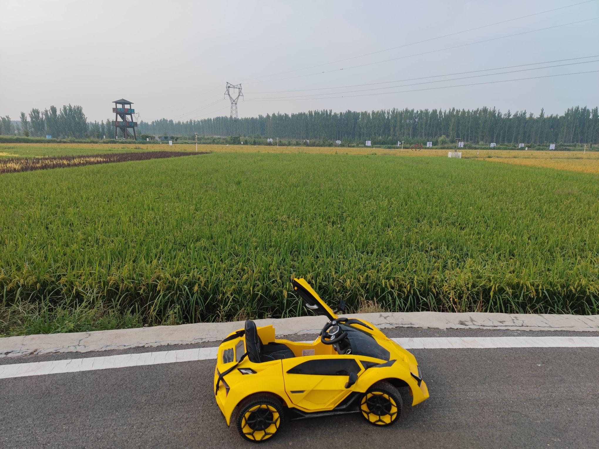 席家庄公园旅行图片 3