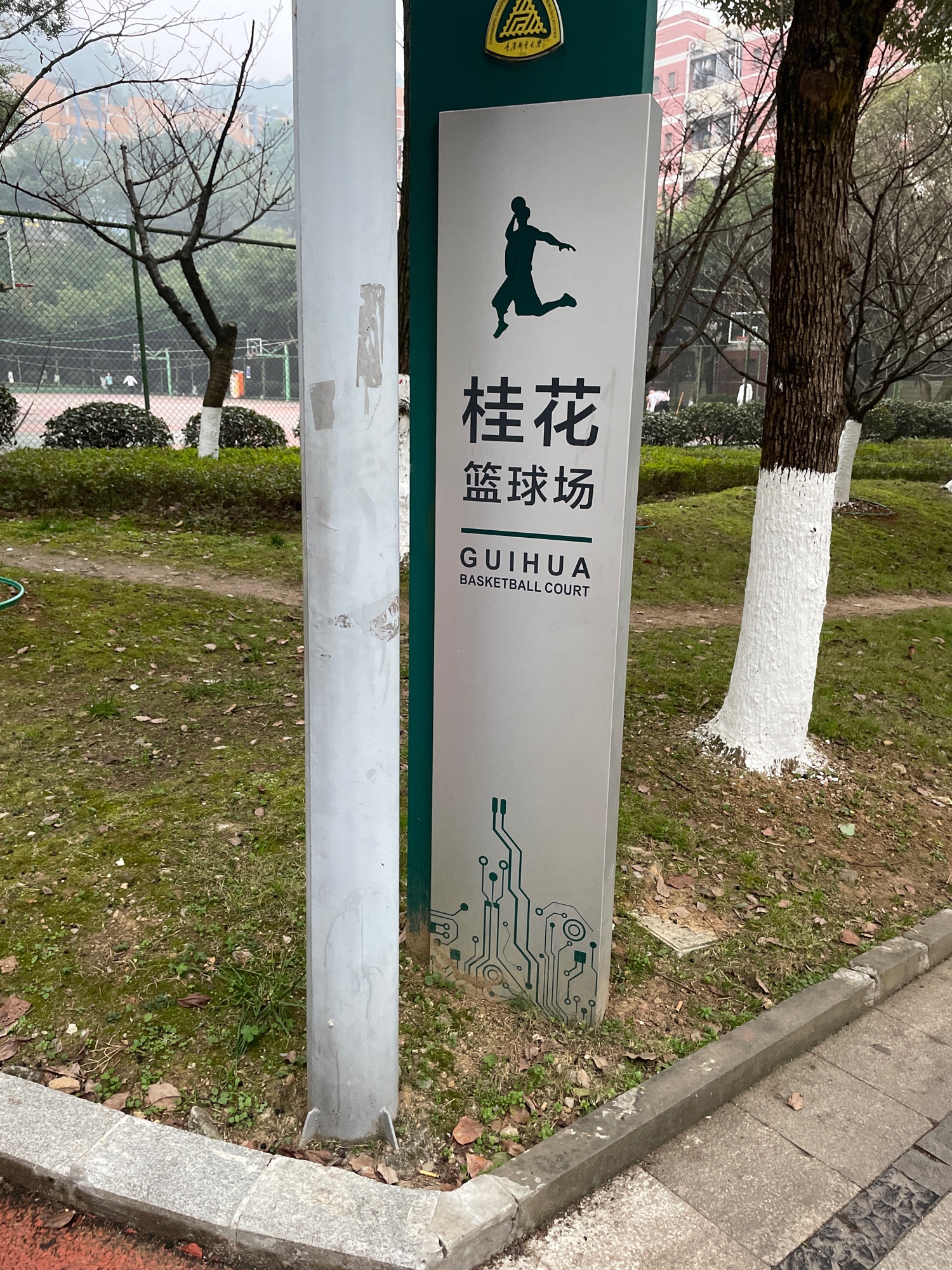 场地封面-重庆邮电大学-桂花篮球场