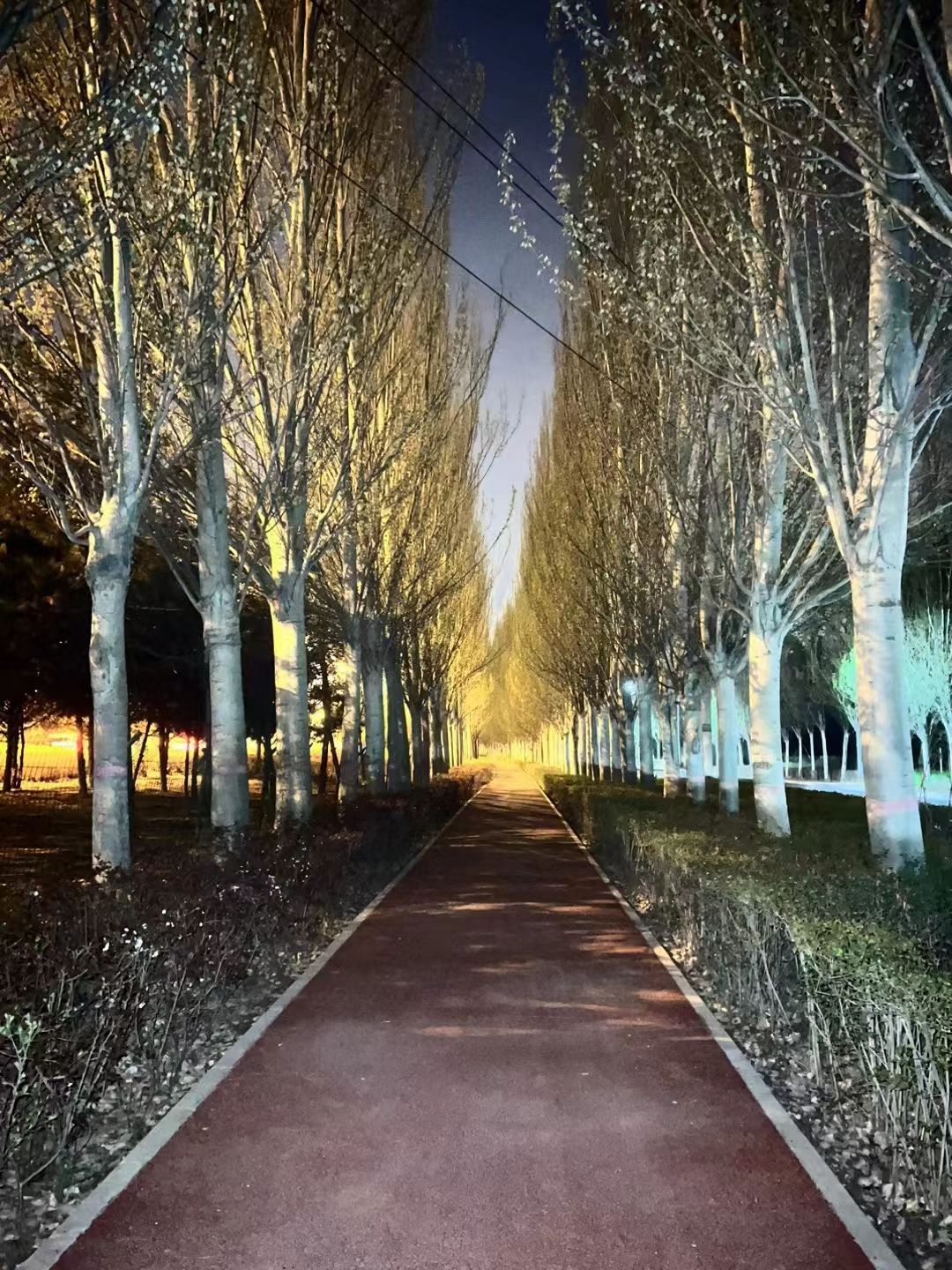 内蒙古大学(南校区)-小公园旅行图片 3