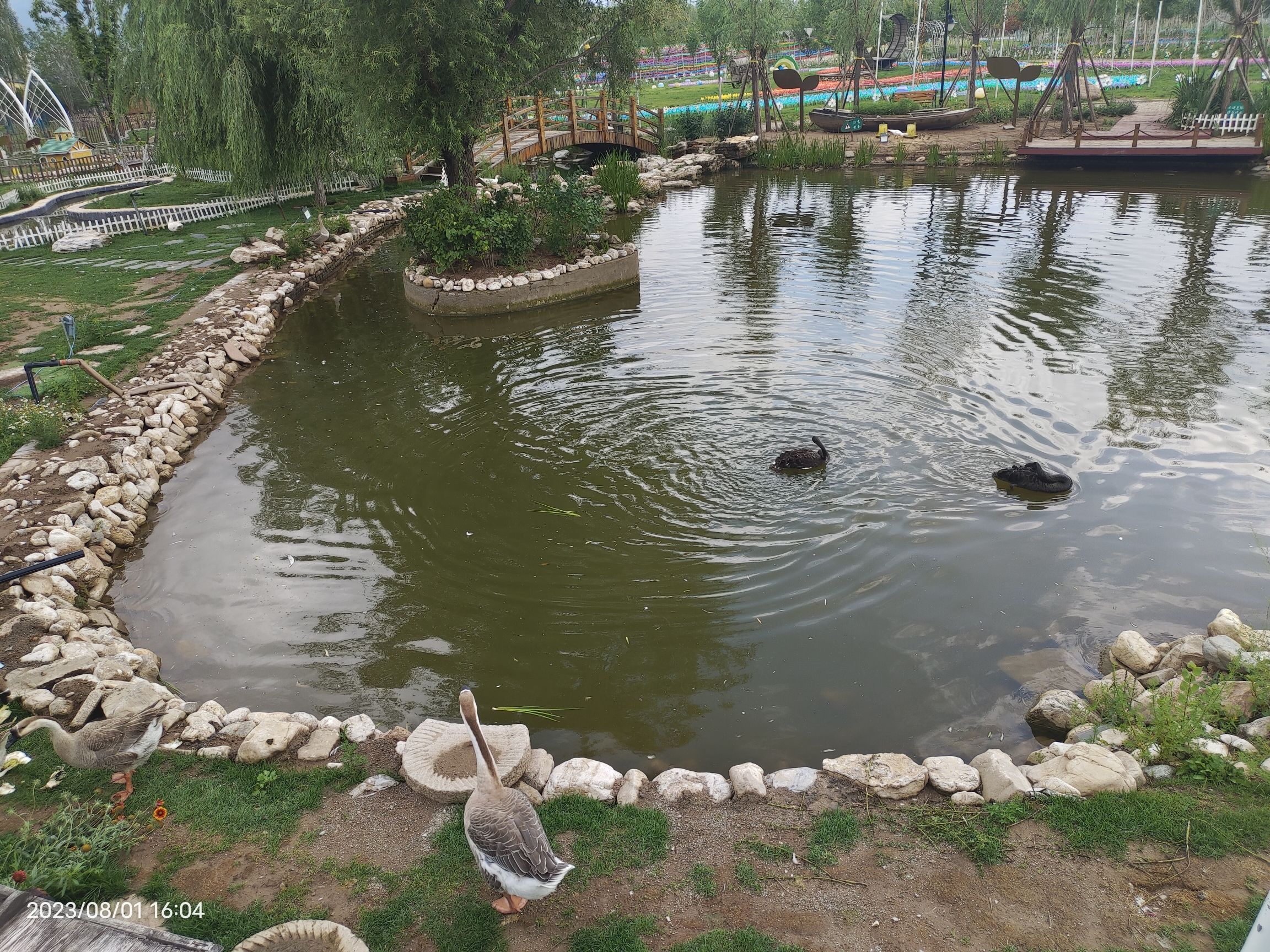 华中小镇青青牧场旅行图片 2
