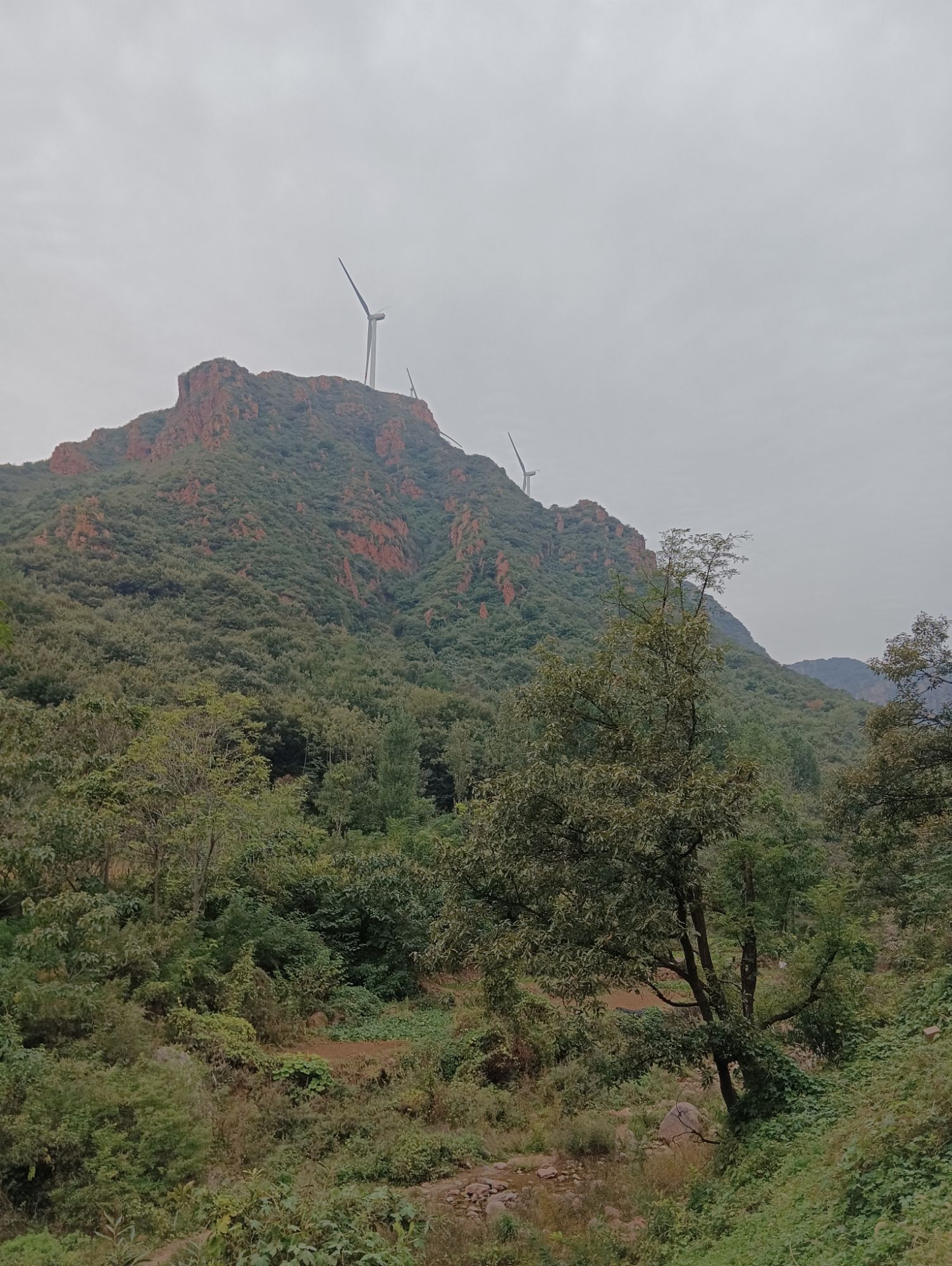 凤凰山景区-观景台旅行图片 1