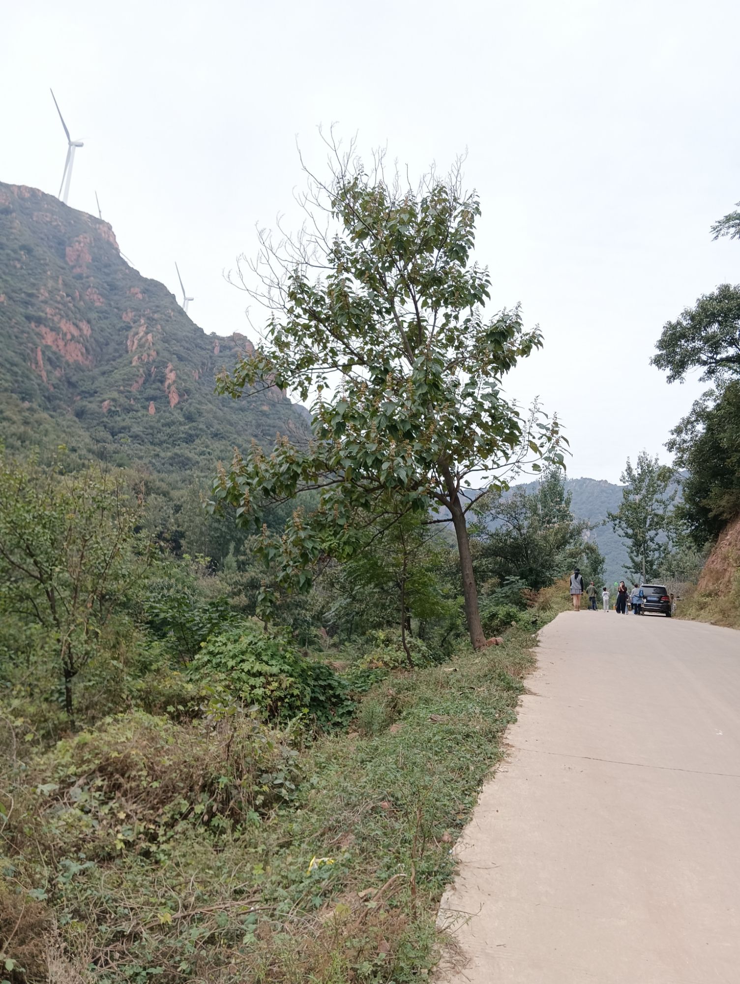 凤凰山景区-观景台旅行图片 2