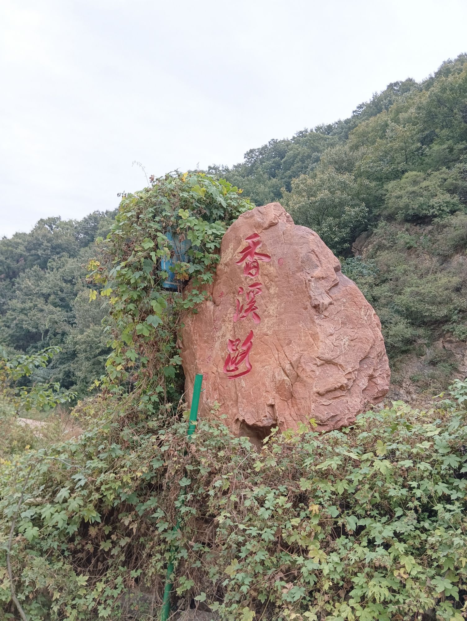 凤凰山景区-观景台旅行图片 3