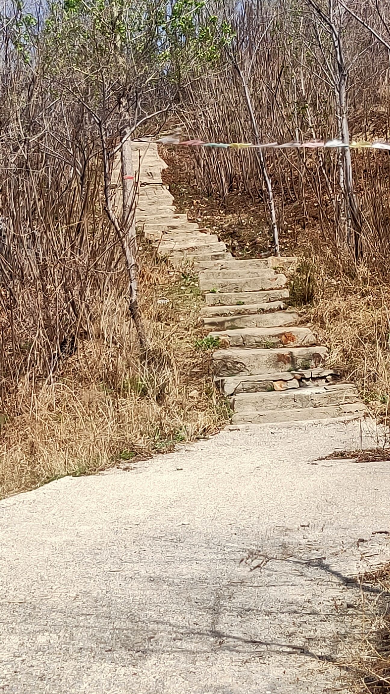 海城市胡仙洞 - 毛祁镇便民圈栖邻生活圈风景名胜服务点实景照片
