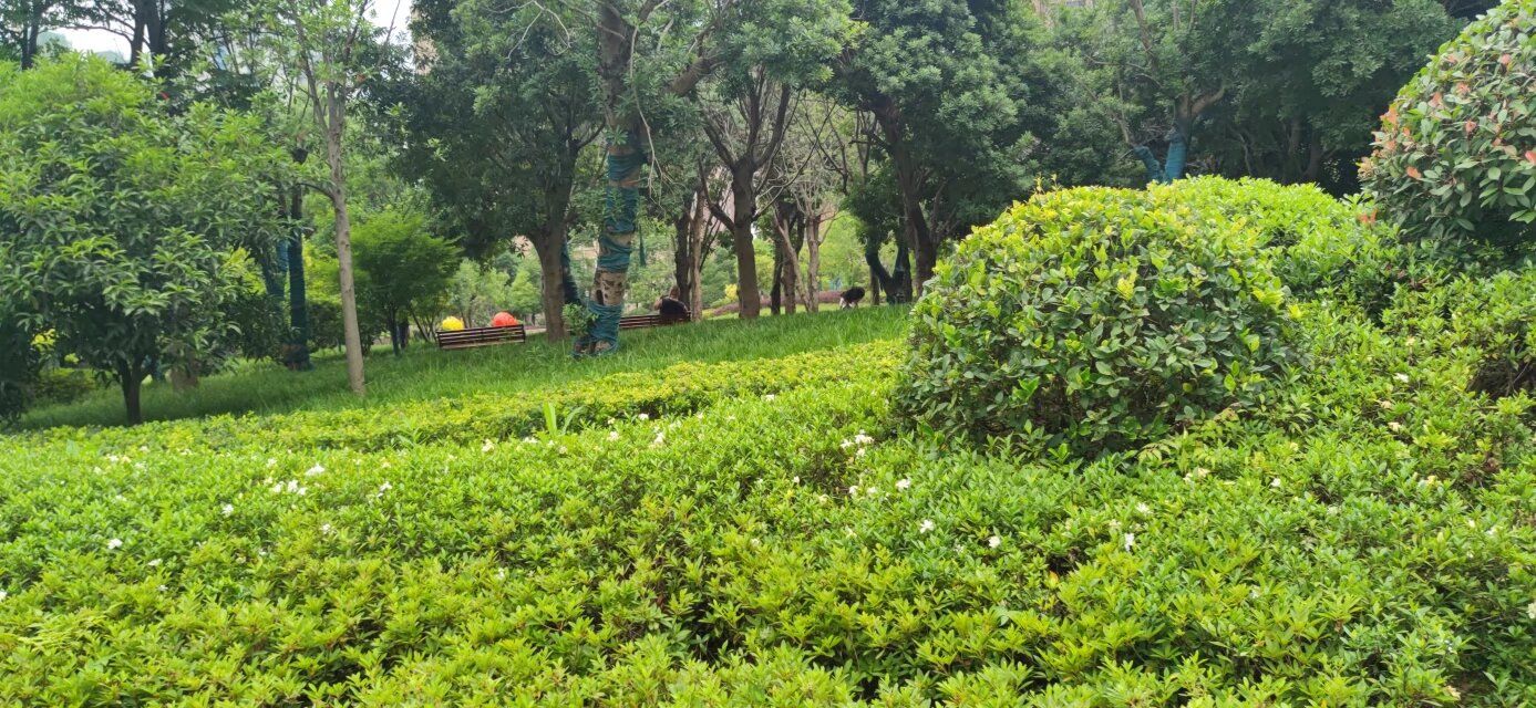 星悦公园旅行图片 2