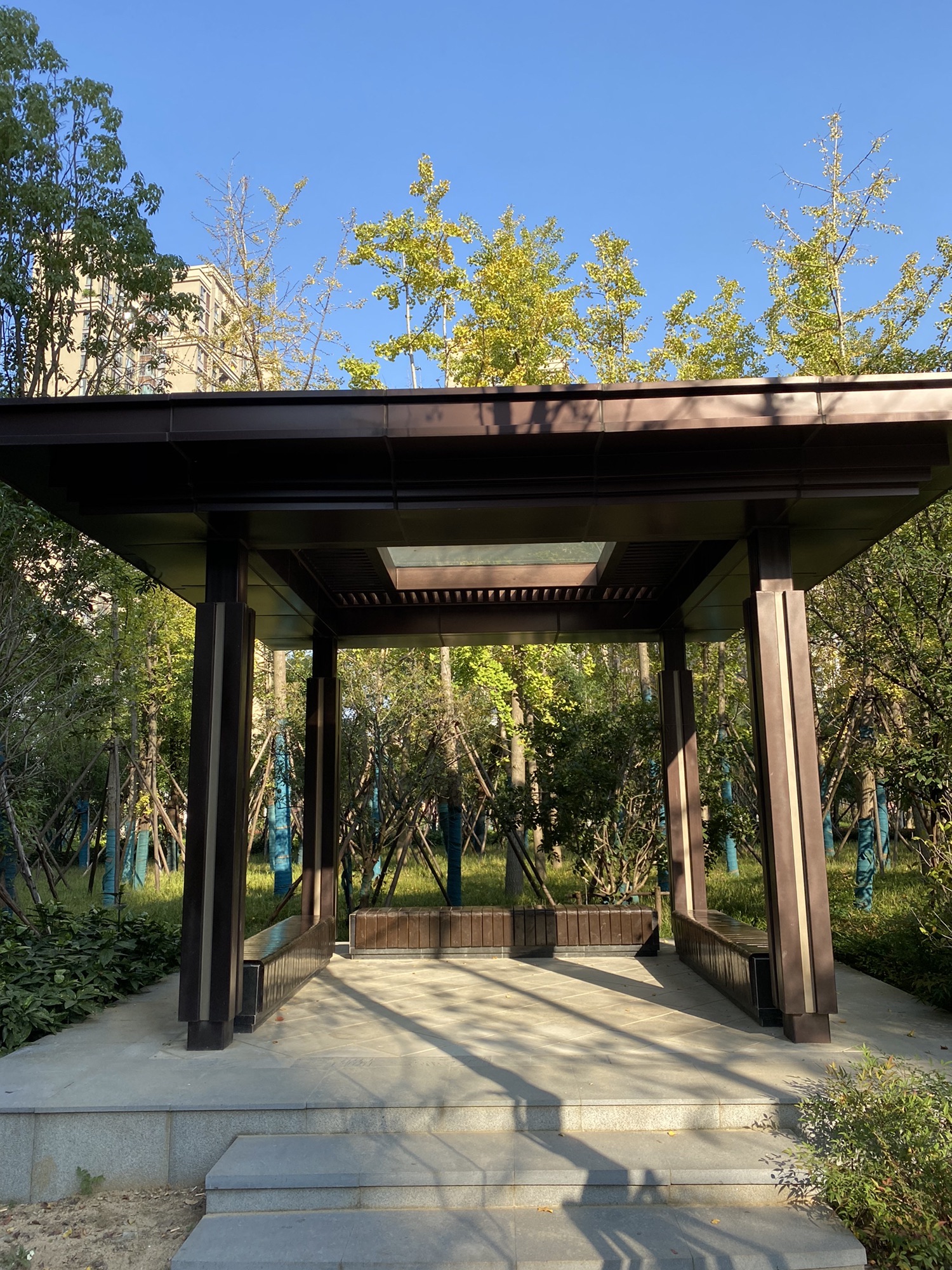 星悦公园旅行图片 3