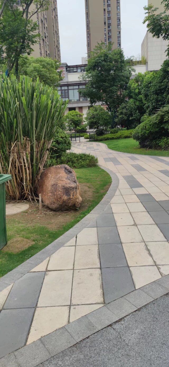 星悦公园旅行图片 3