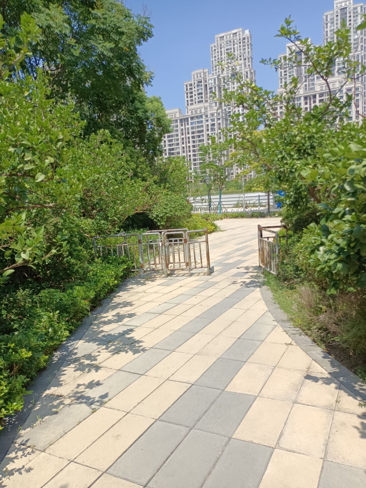 星悦公园旅行图片 1
