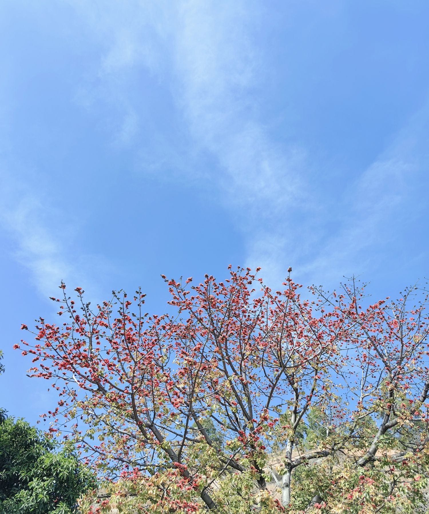 水中央湿地公园旅行图片 2